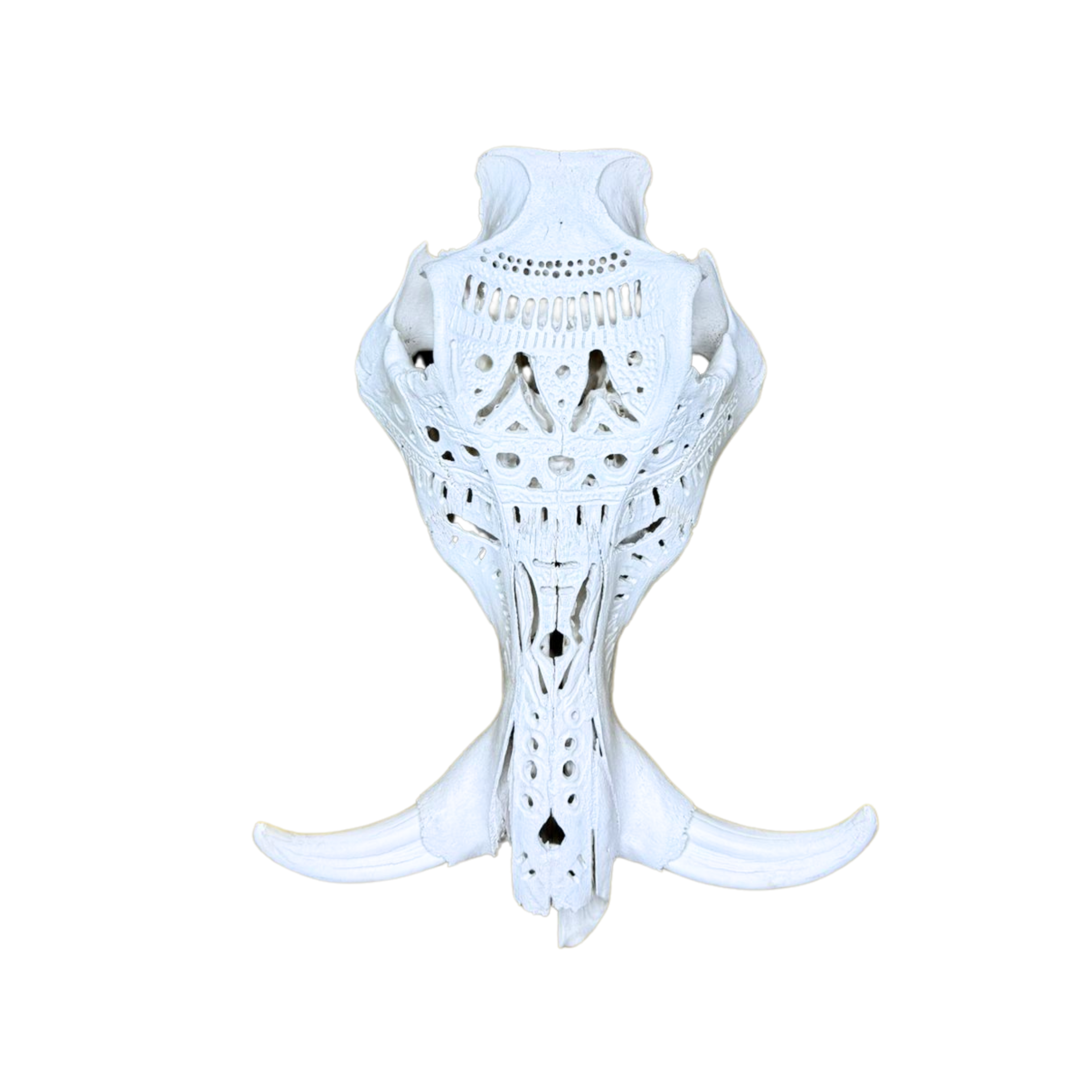 White Carved Warthog Skull