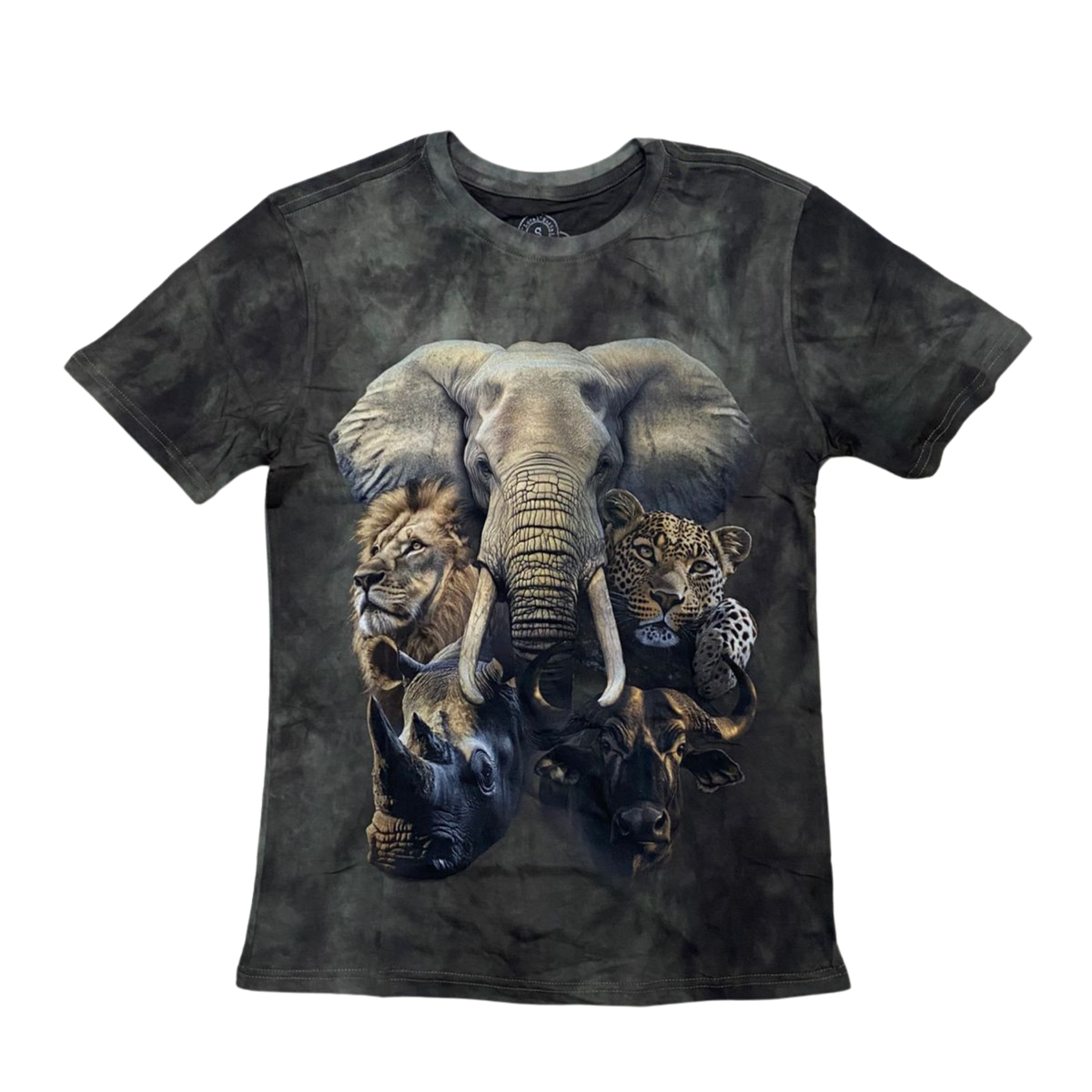 Big 5 Experience Kids Dyed T-Shirt - Grey