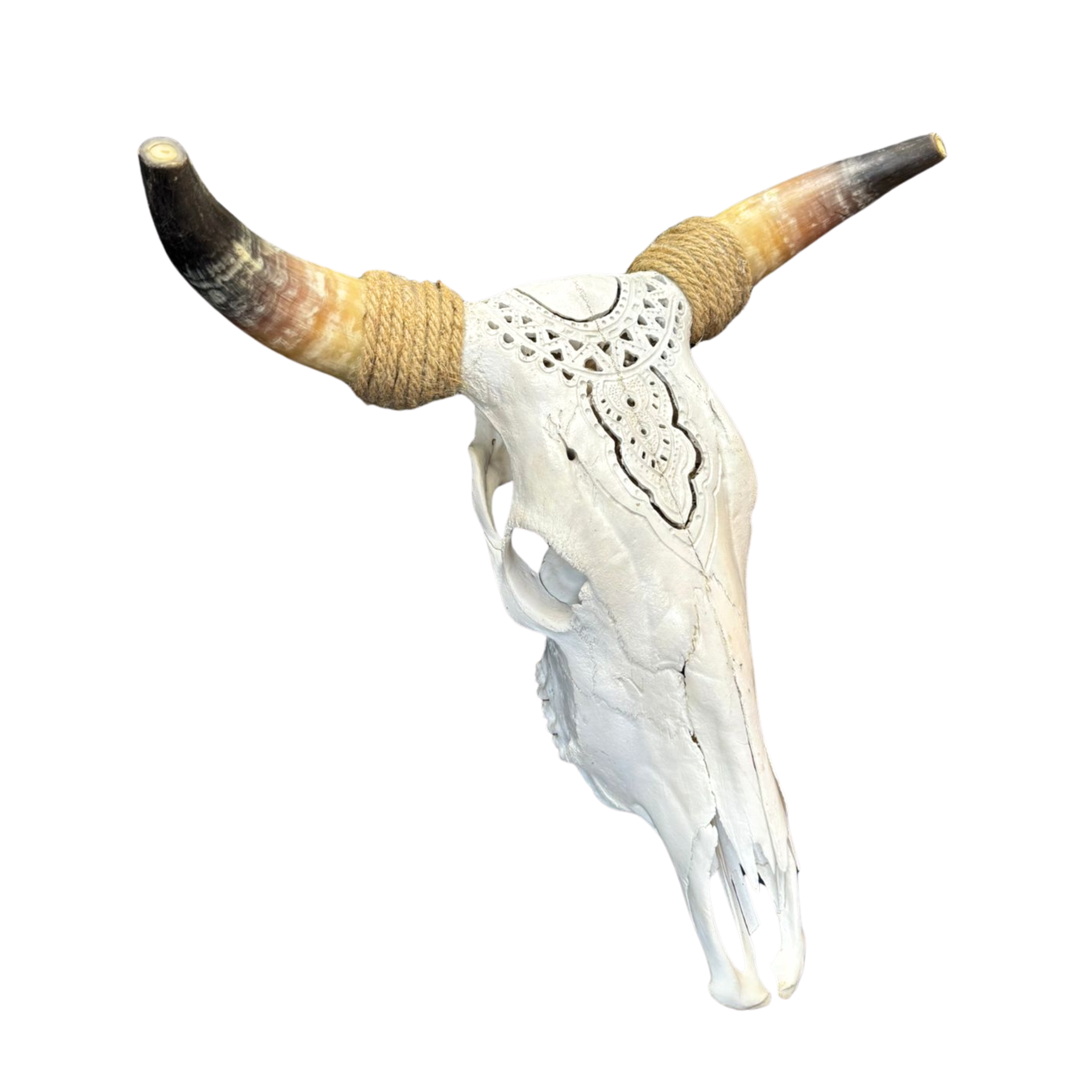 White Mandala Carved Nguni Skull With Rope Horns
