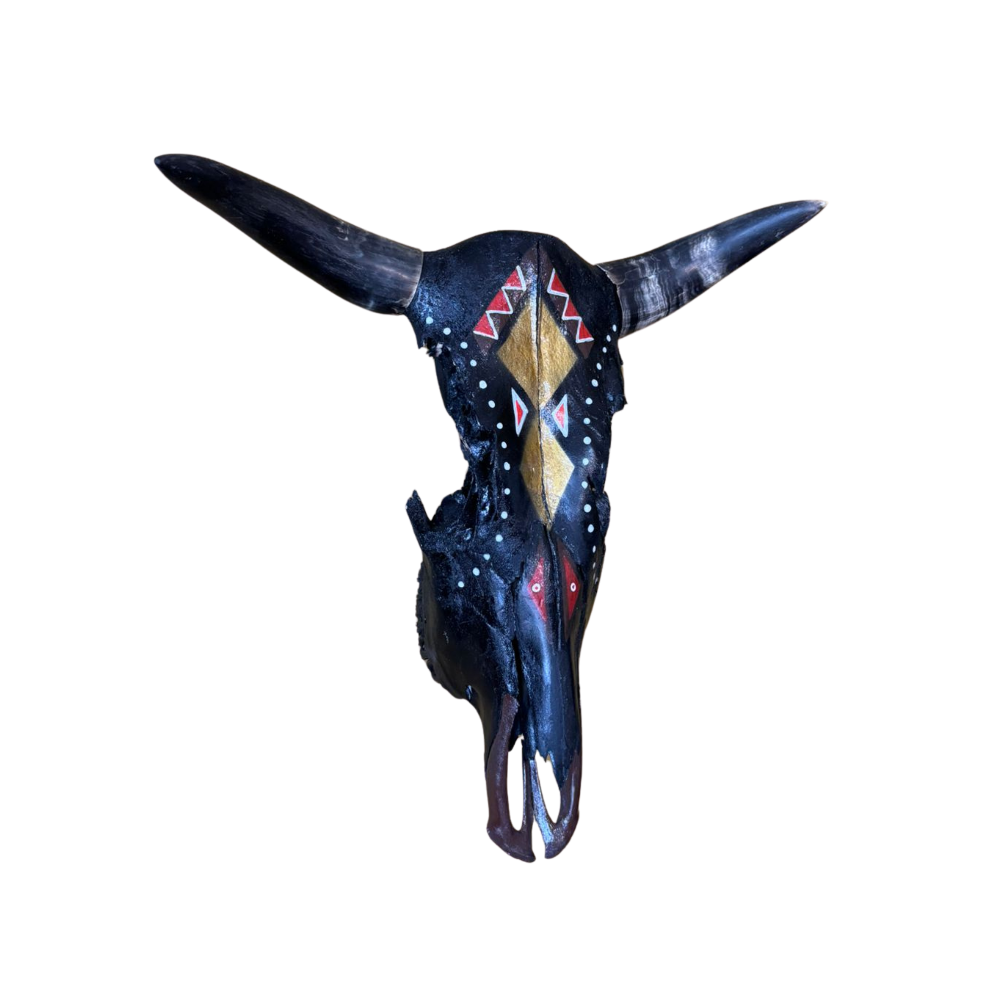 Black Painted Nguni Skull