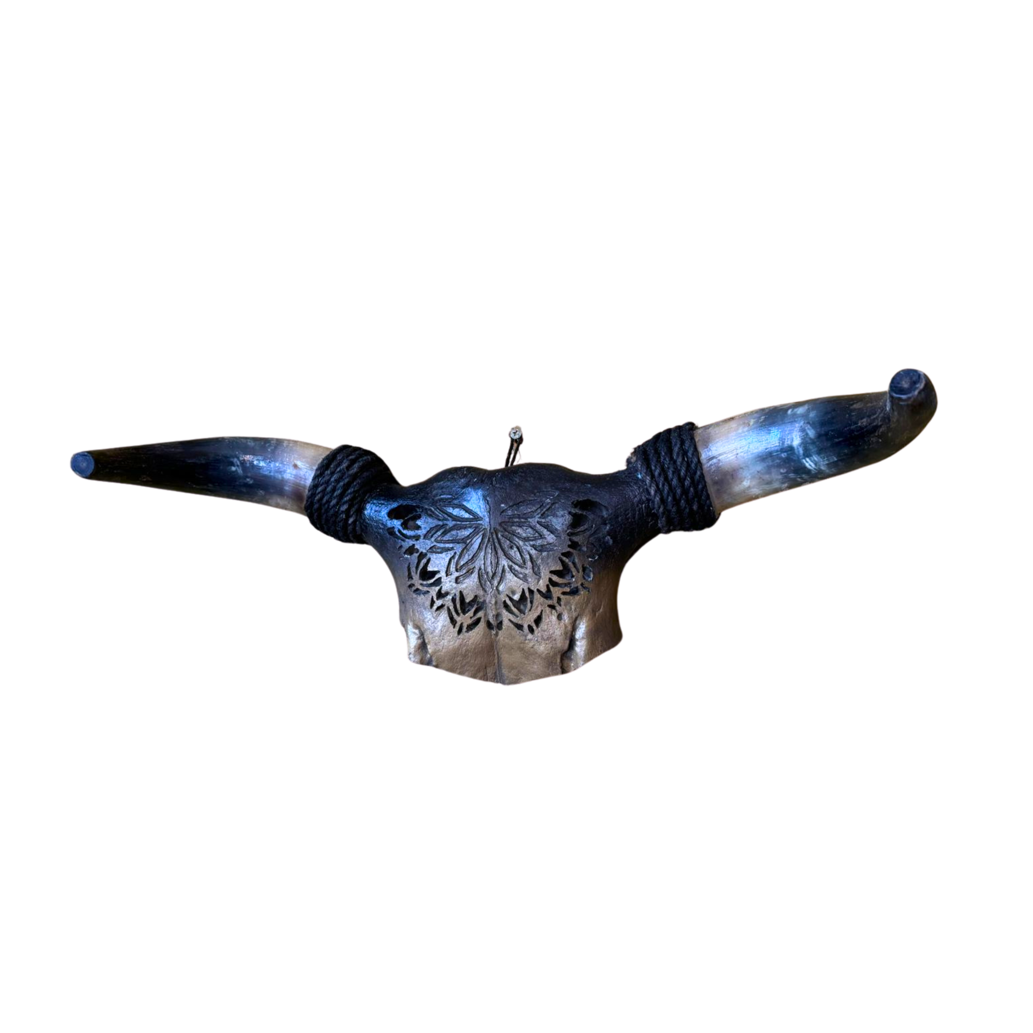 Half Carved Ombre Nguni Skull