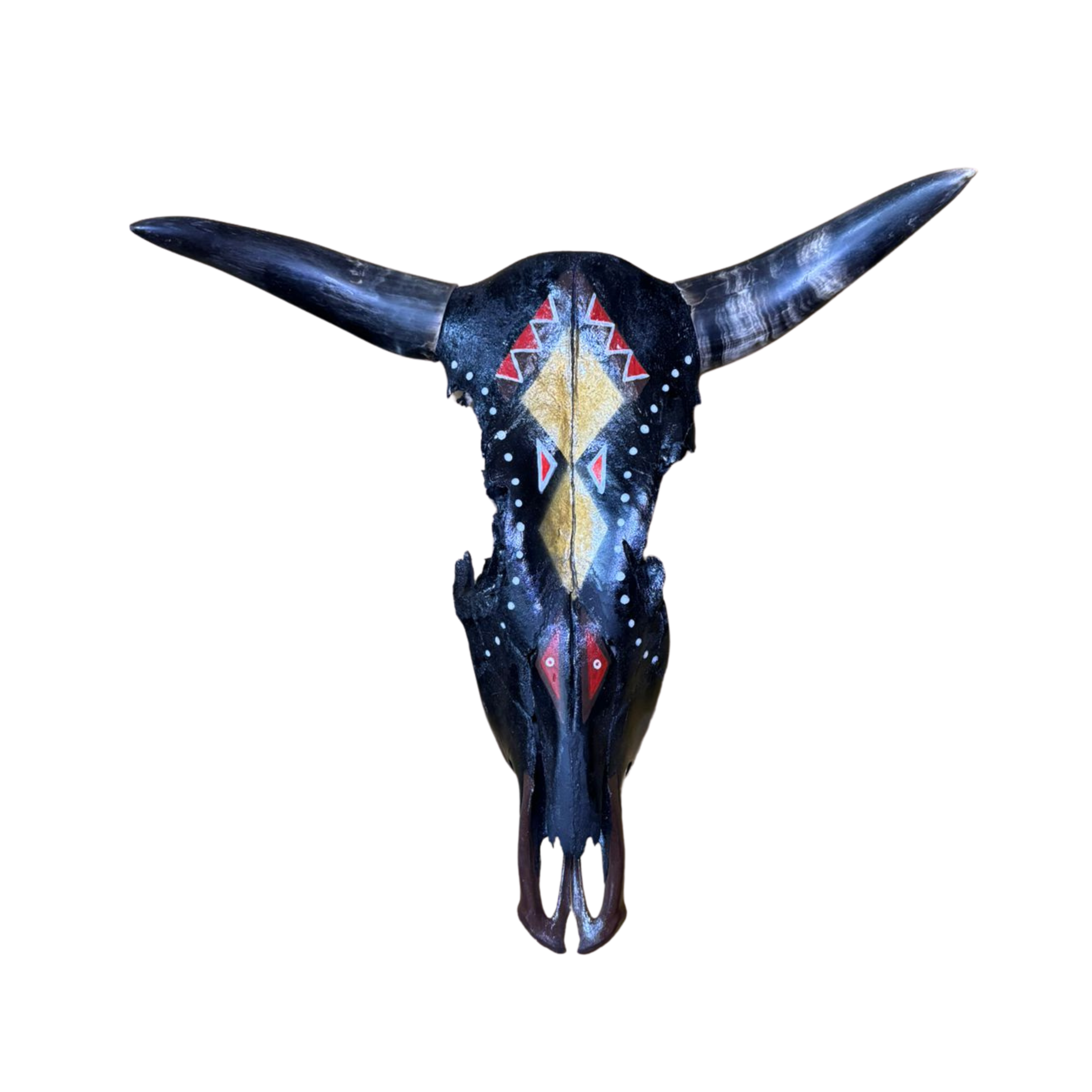 Black Painted Nguni Skull