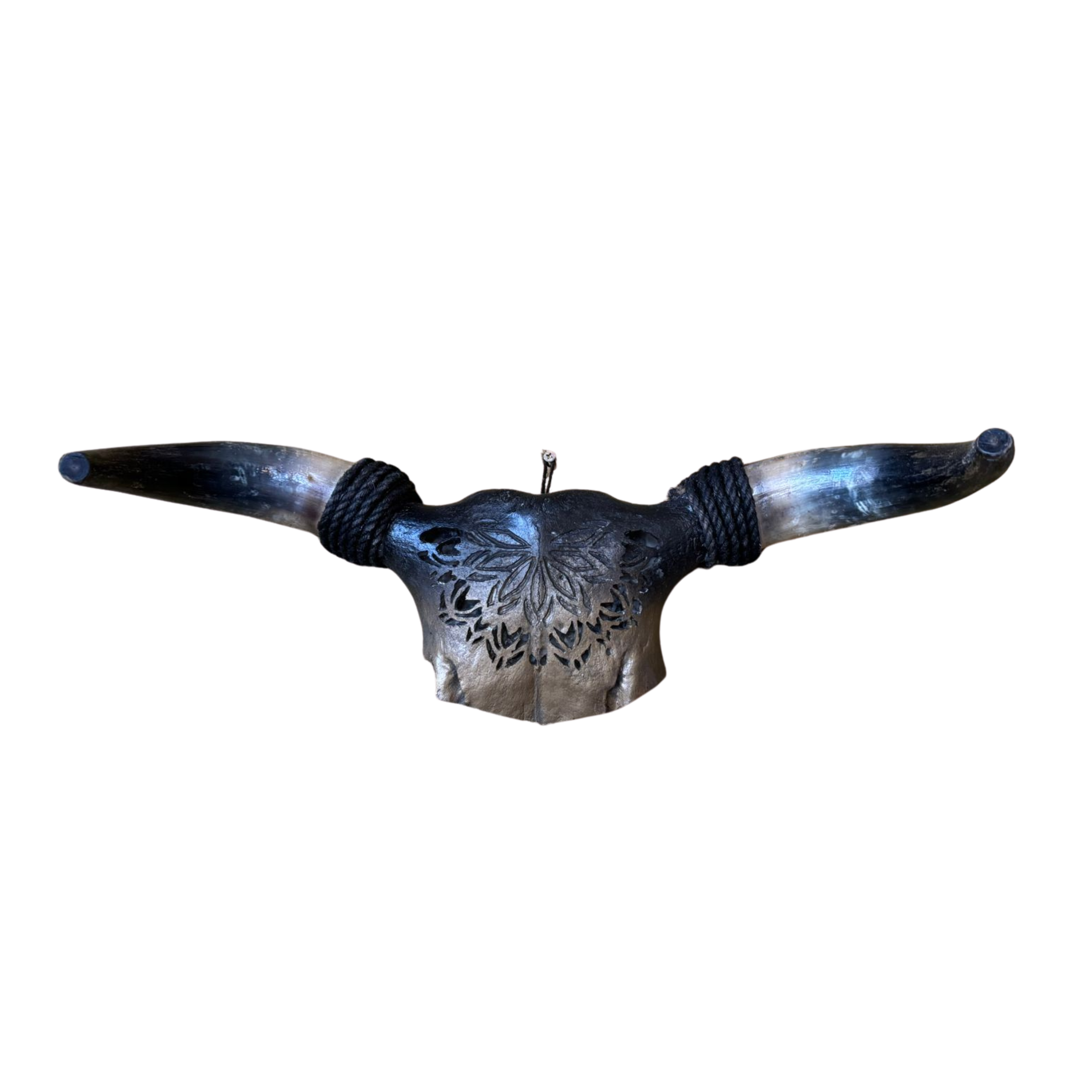 Half Carved Ombre Nguni Skull