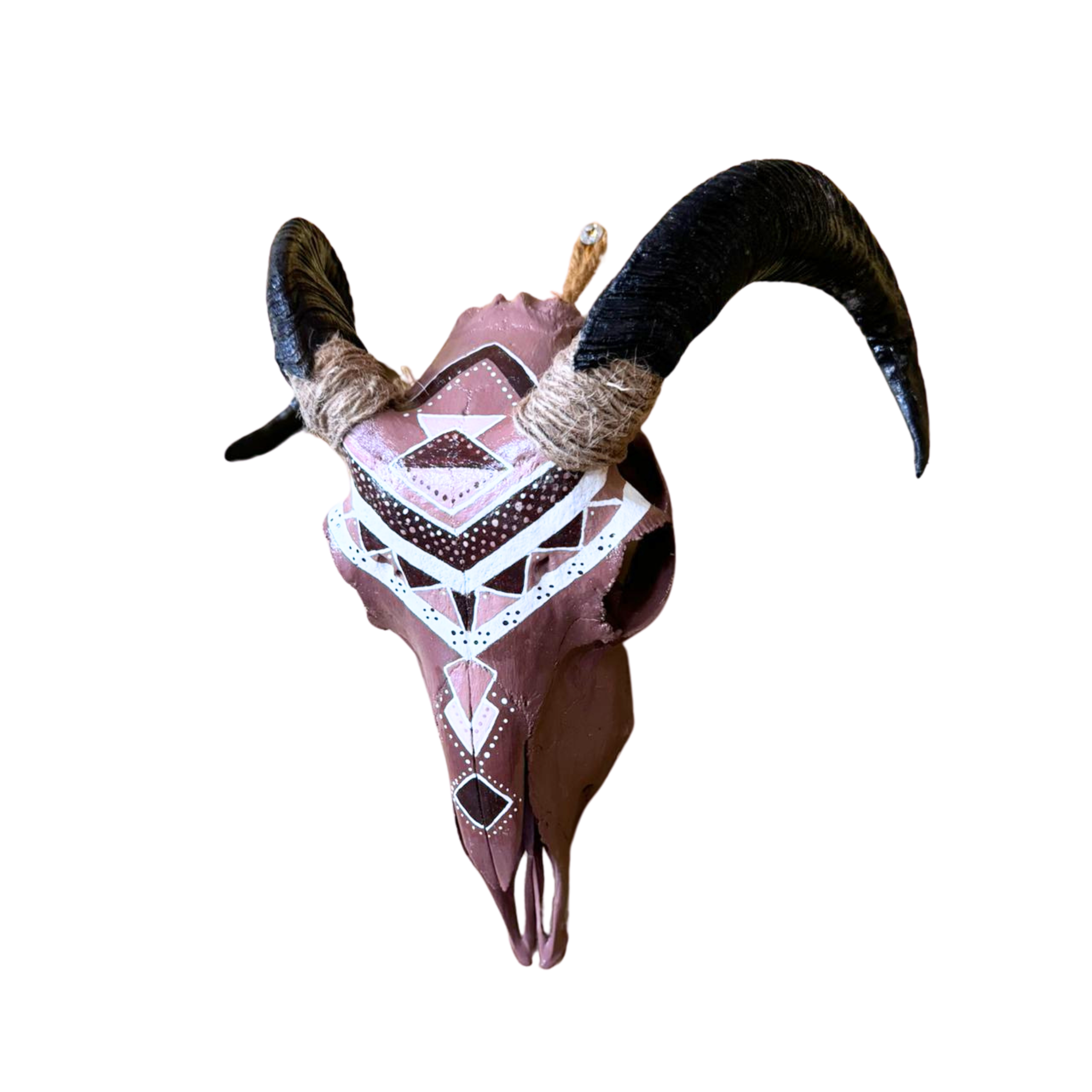Painted Merino Ewe Skull