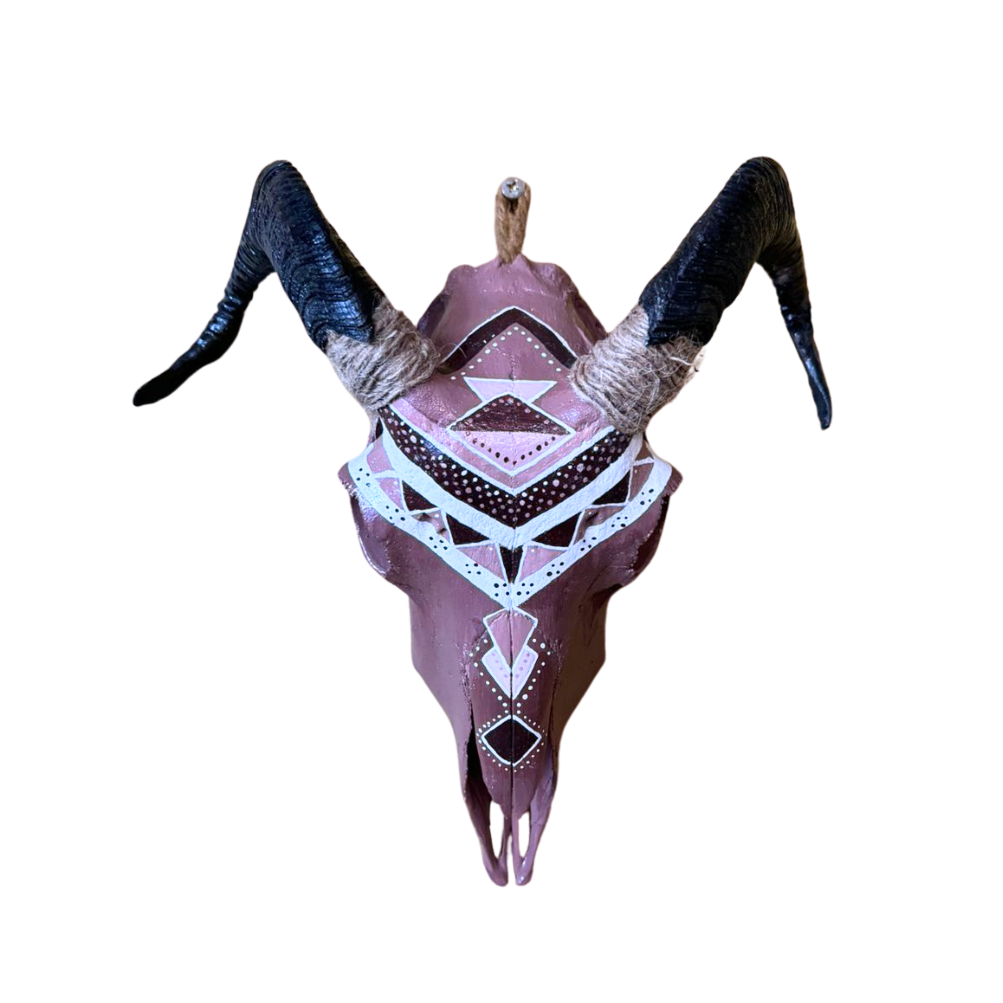 Painted Merino Ewe Skull