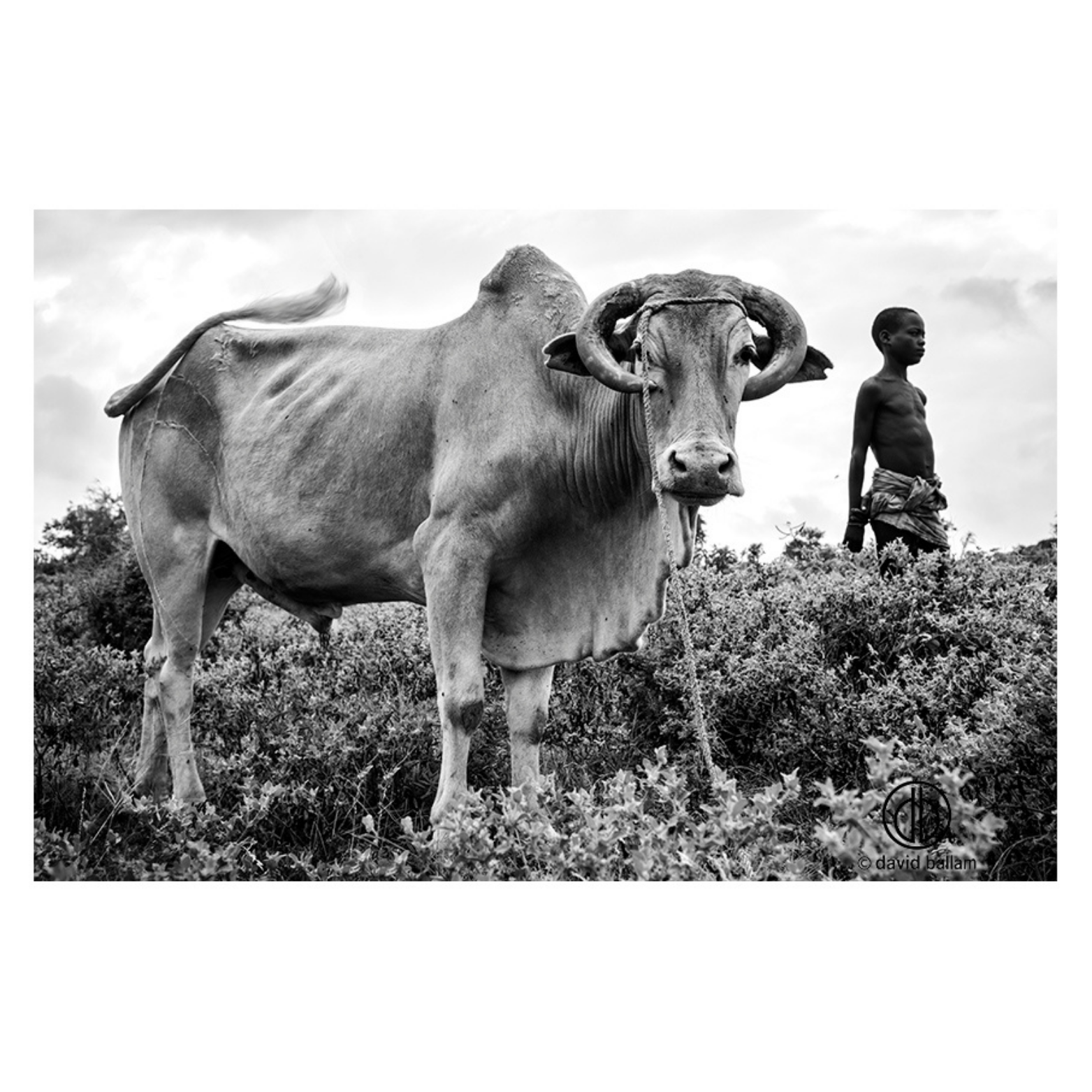 David Ballam Rolled Canvas Prints - Ethiopia's Omo Tribe (120cm x 80cm)