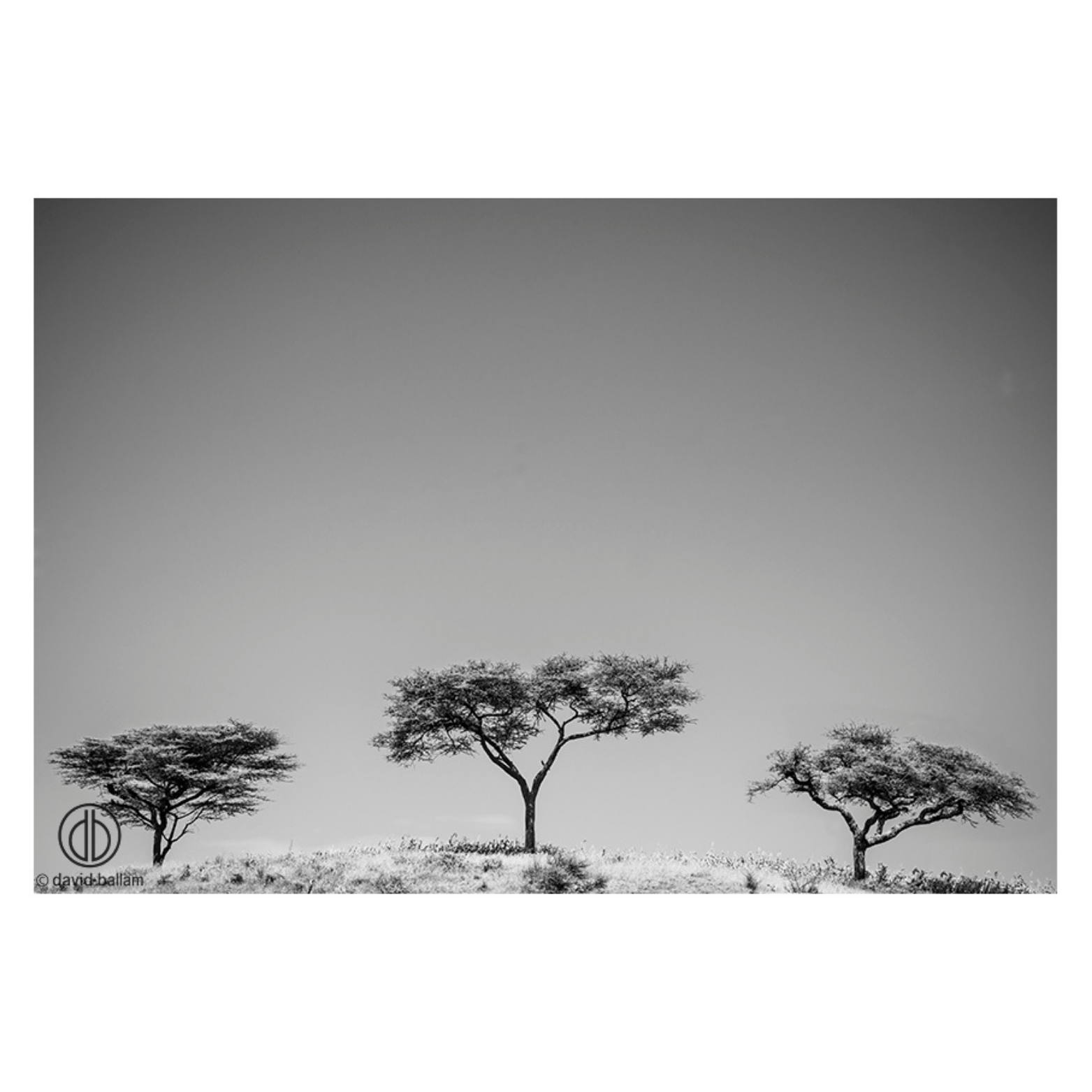 David Ballam Rolled Canvas Prints - Ethiopia's Omo Tribe (120cm x 80cm)
