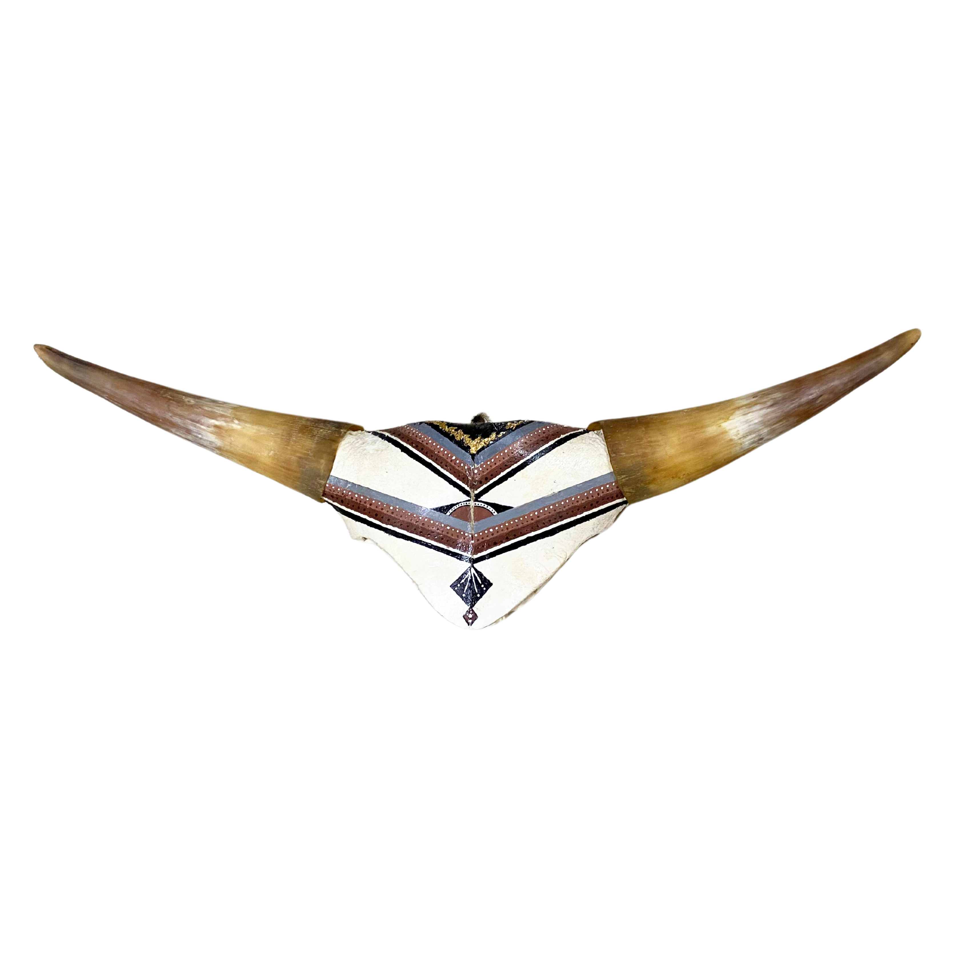 Aztec Painted Half Nguni Skull
