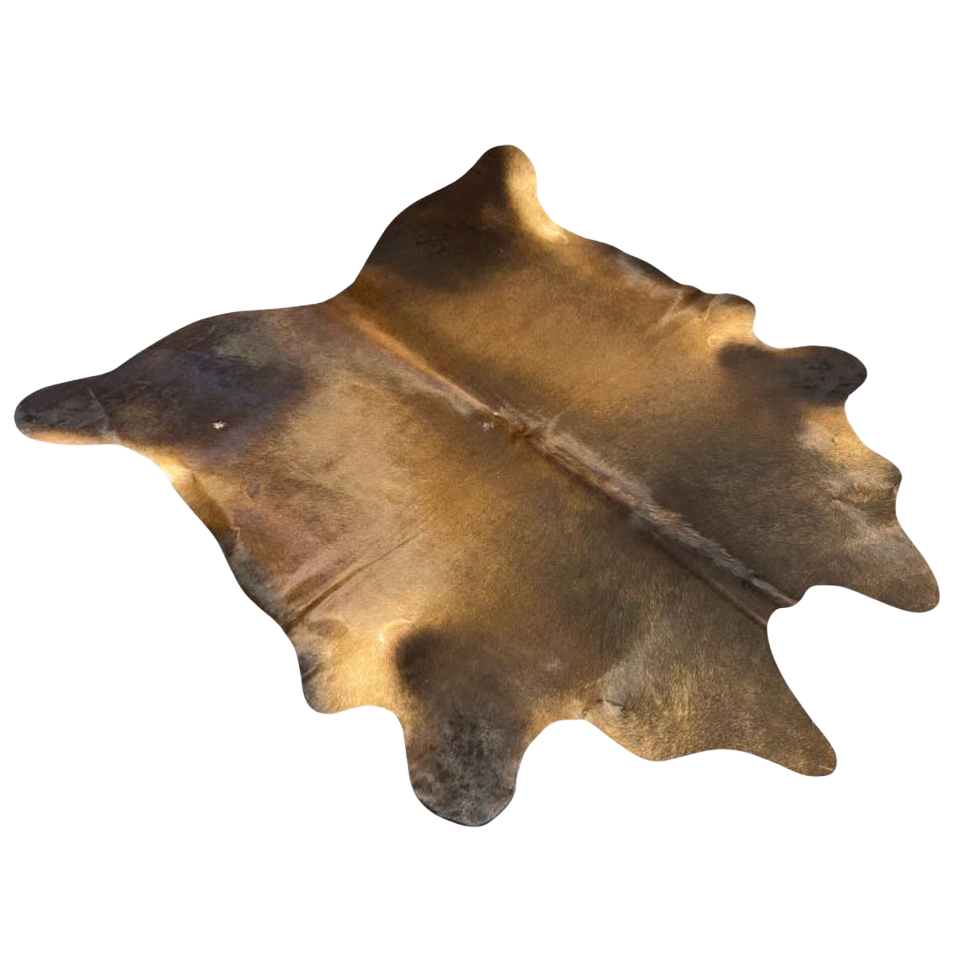 Chocolate Brown AA Grade Cowhide