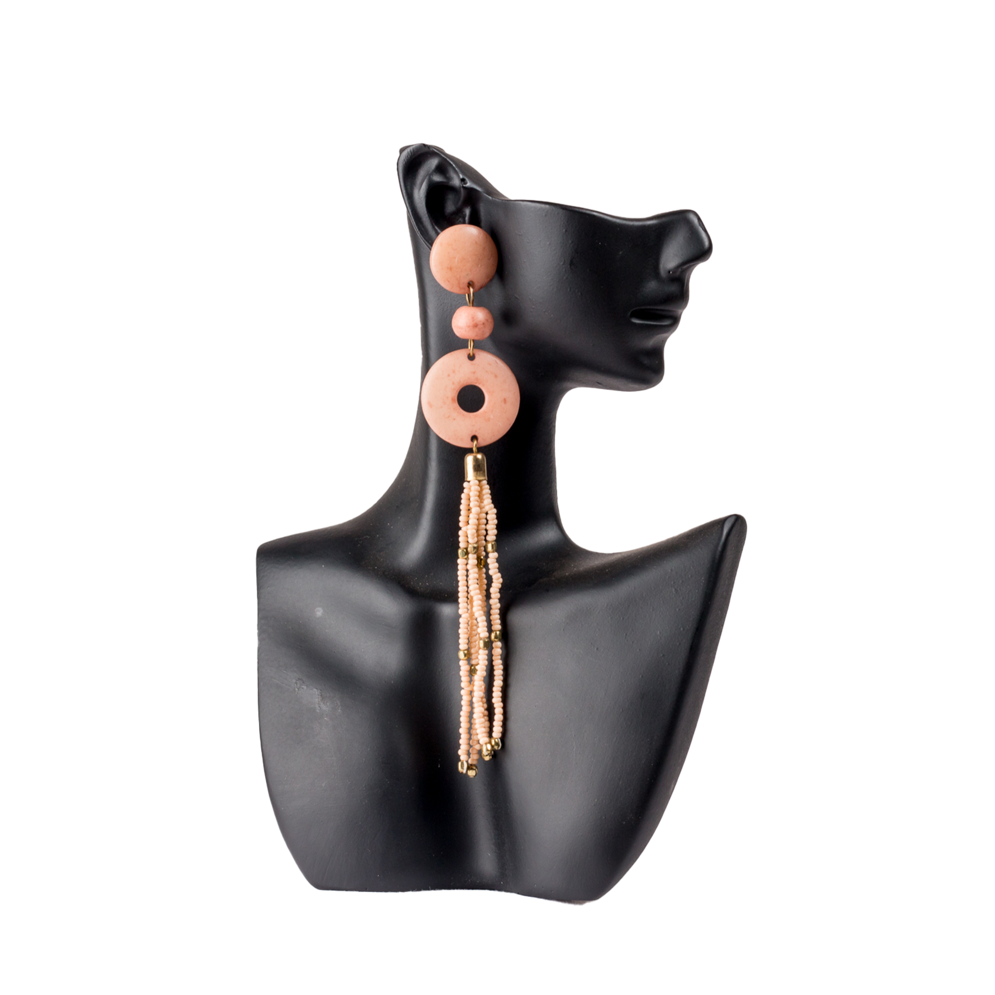 Tassel Resin Earrings
