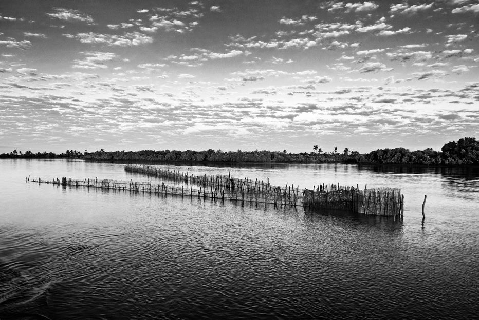 David Ballam Rolled Canvas Prints - Mozambique (120cm x 180cm)