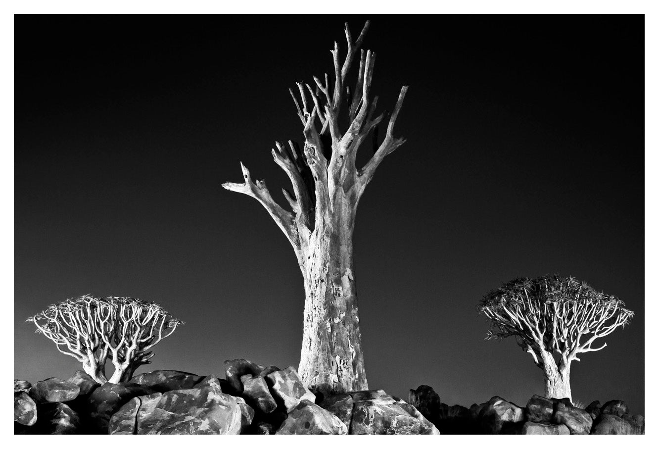 David Ballam Rolled Canvas Prints - Namibia Collection (120cm x 180cm)