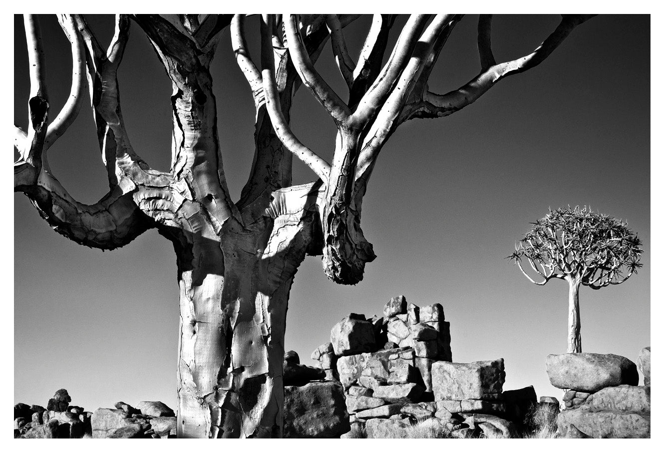 David Ballam Rolled Canvas Prints - Namibia Collection (120cm x 180cm)