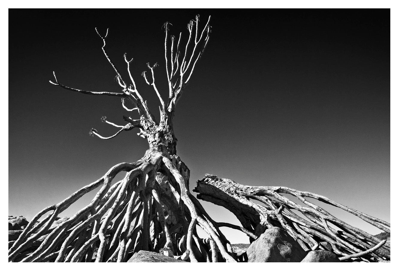 David Ballam Rolled Canvas Prints - Namibia Collection (120cm x 180cm)