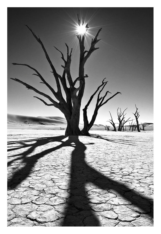 David Ballam Rolled Canvas Prints - Namibia Collection (120cm x 180cm)