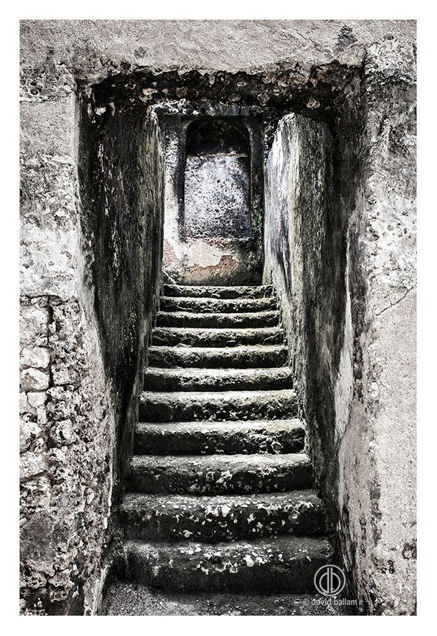 David Ballam Rolled Canvas Prints - Zanzibar On Land Collection (120cm x 180cm)