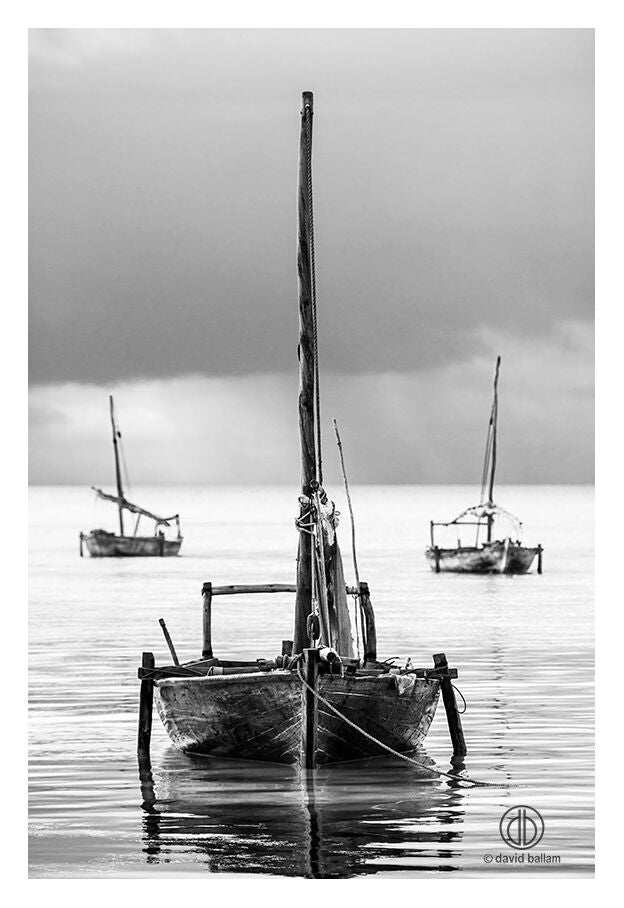 David Ballam Rolled Canvas Prints - Zanzibar At Sea Collection (120cm x 180cm)
