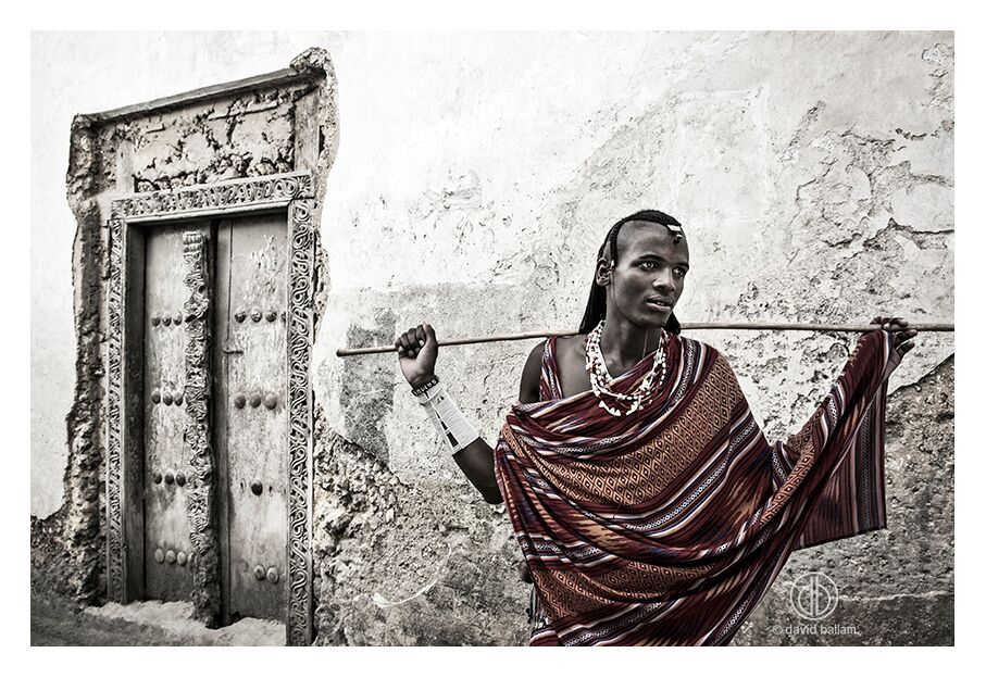 David Ballam Rolled Canvas Prints - Zanzibar On Land Collection (120cm x 180cm)