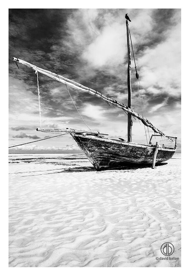 David Ballam Rolled Canvas Prints - Zanzibar At Sea Collection (120cm x 180cm)