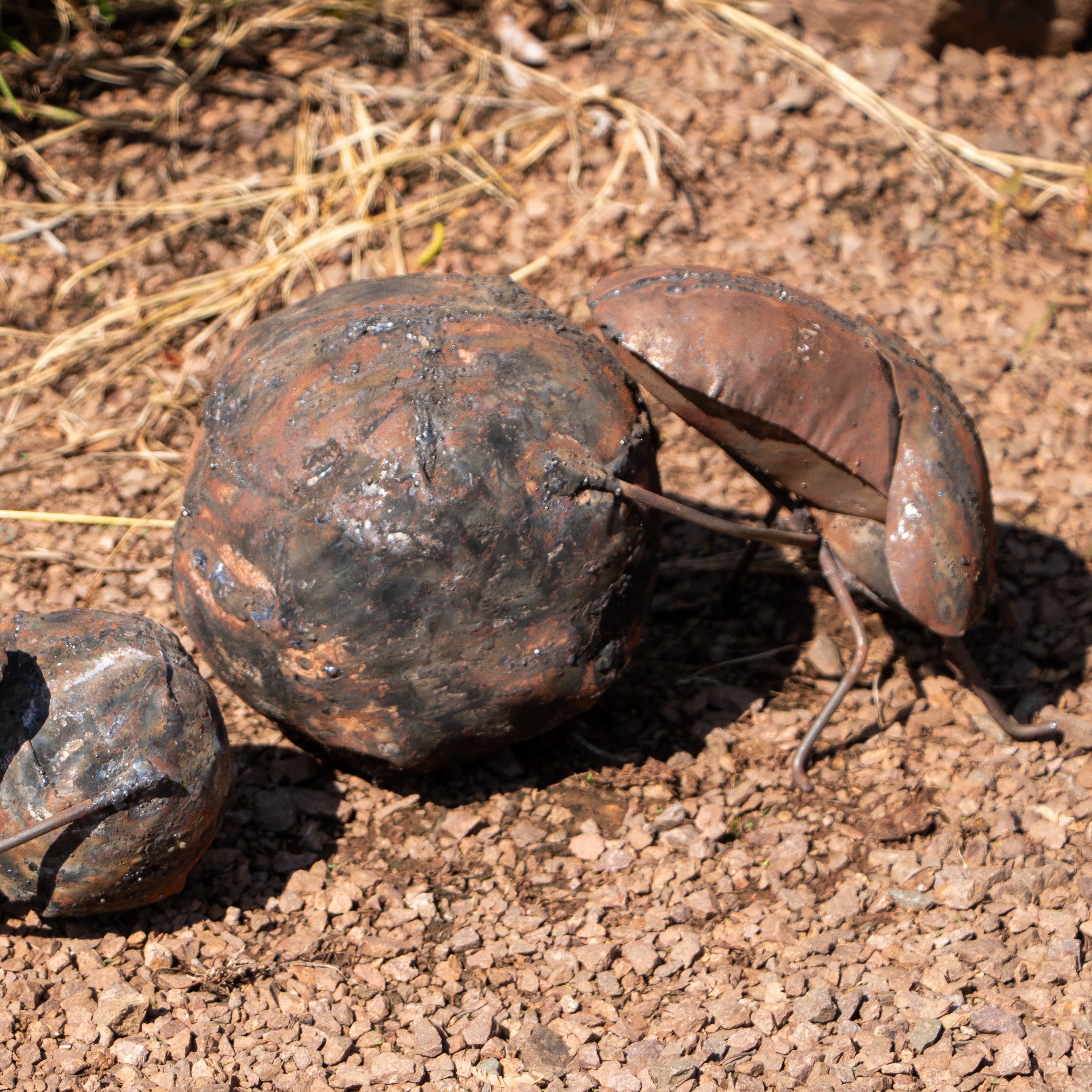 Outdoor Steel Dung Beetle Garden Sculpture