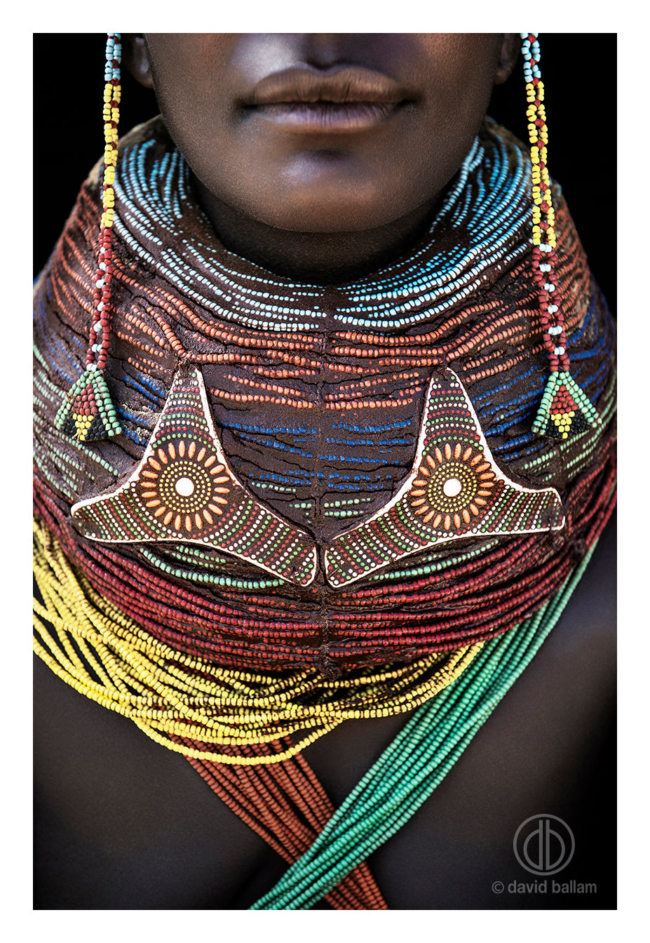 David Ballam Rolled Canvas Prints - Angola Collection (120cm x 80cm)