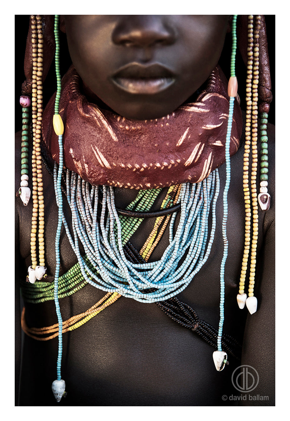 David Ballam Rolled Canvas Prints - Angola Collection (120cm x 80cm)