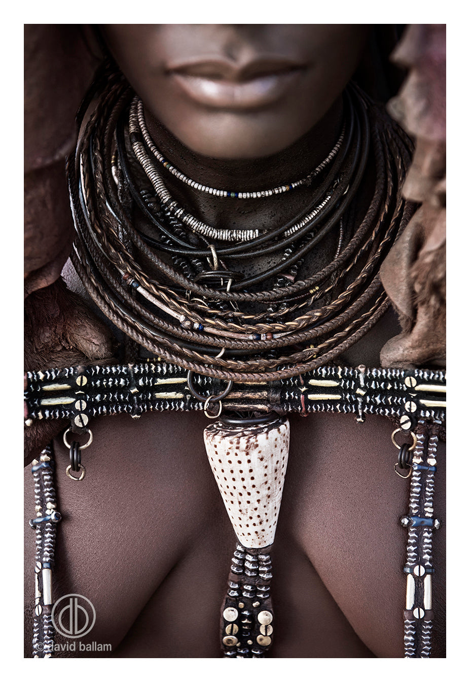 David Ballam Rolled Canvas Prints - Angola Collection (120cm x 80cm)