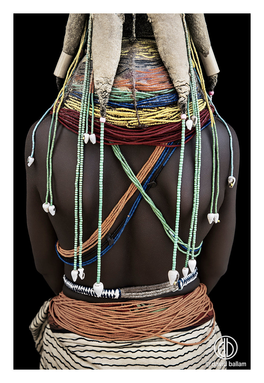 David Ballam Rolled Canvas Prints - Angola Collection (120cm x 80cm)