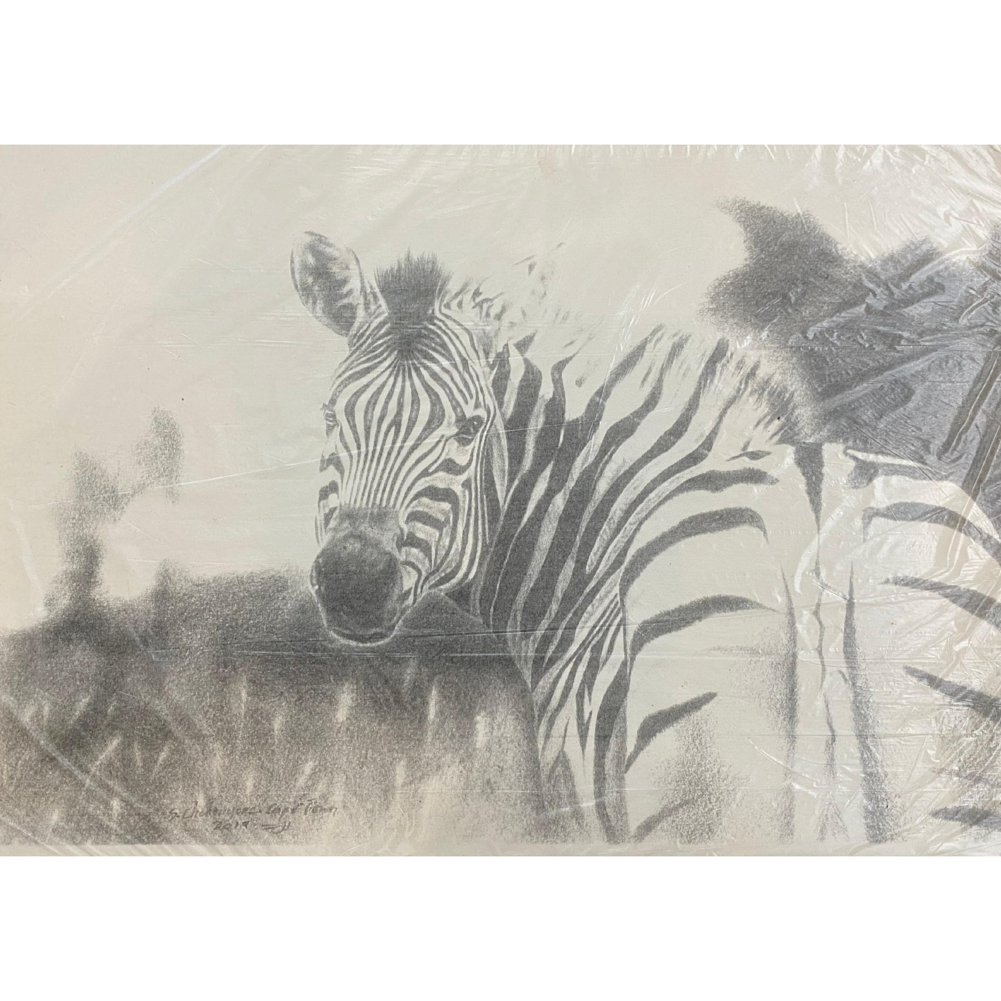 Hand Drawn Pencil Artwork Prints - Shadrack Chekenyere (Zebra)
