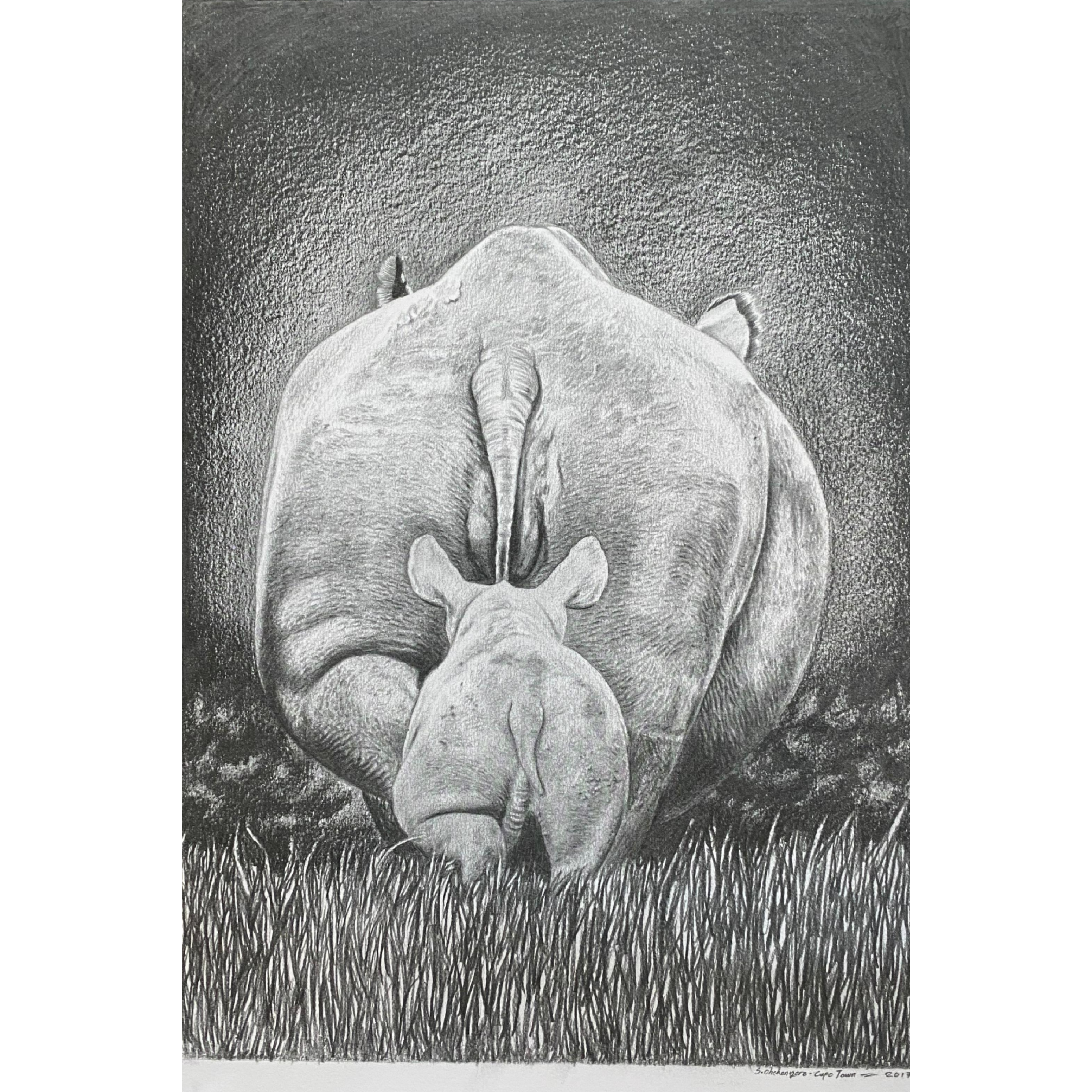 Hand Drawn Pencil Artwork Prints - Shadrack Chekenyere (Rhino)