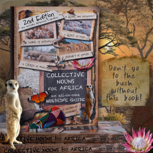 Collective Nouns For Africa Book