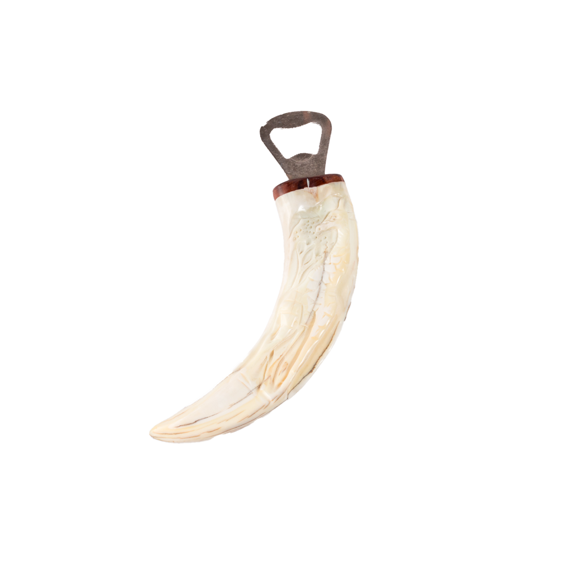Small Carved/Plain Warthog Tusk Bottle Opener