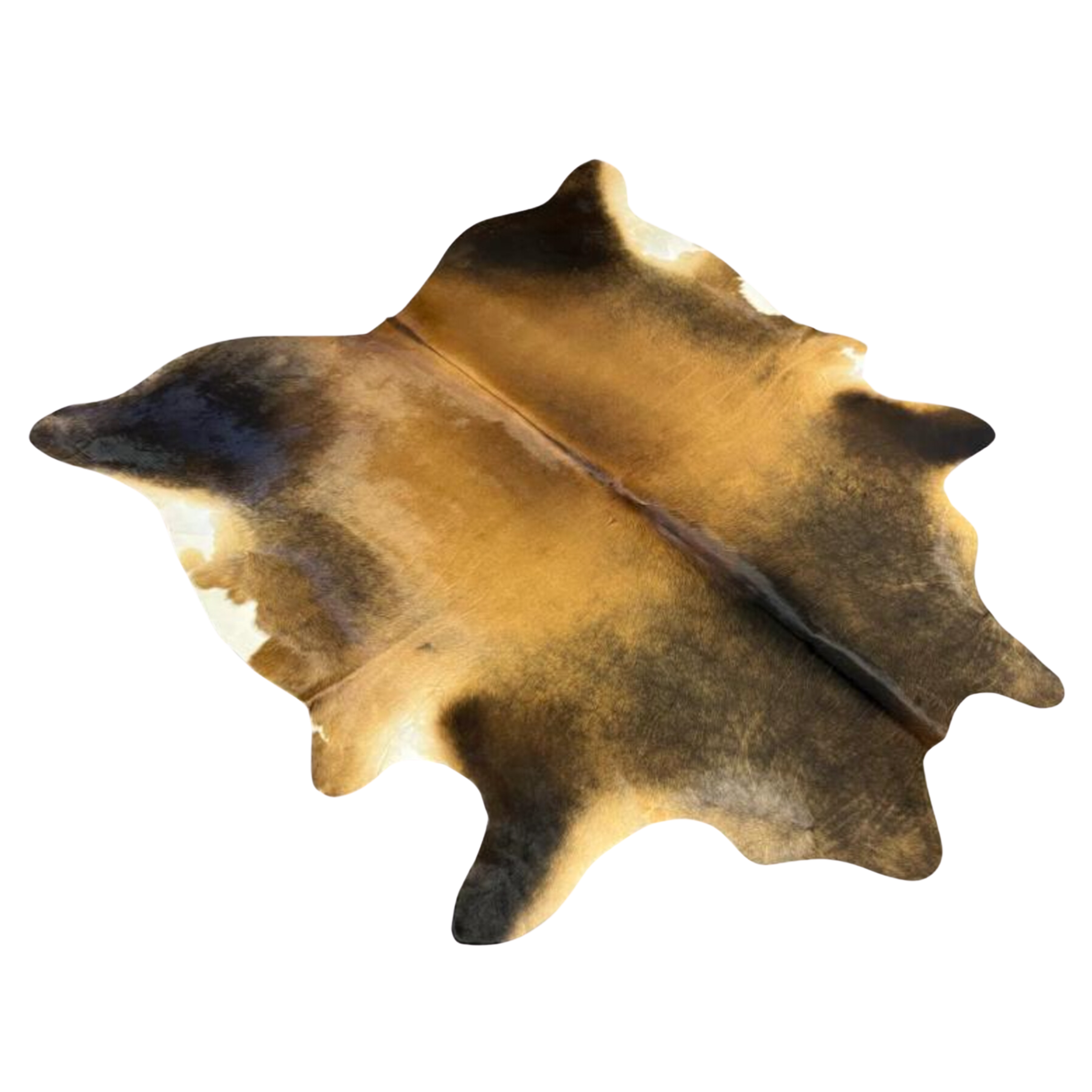 Tan and Brown AAS Grade Cowhide