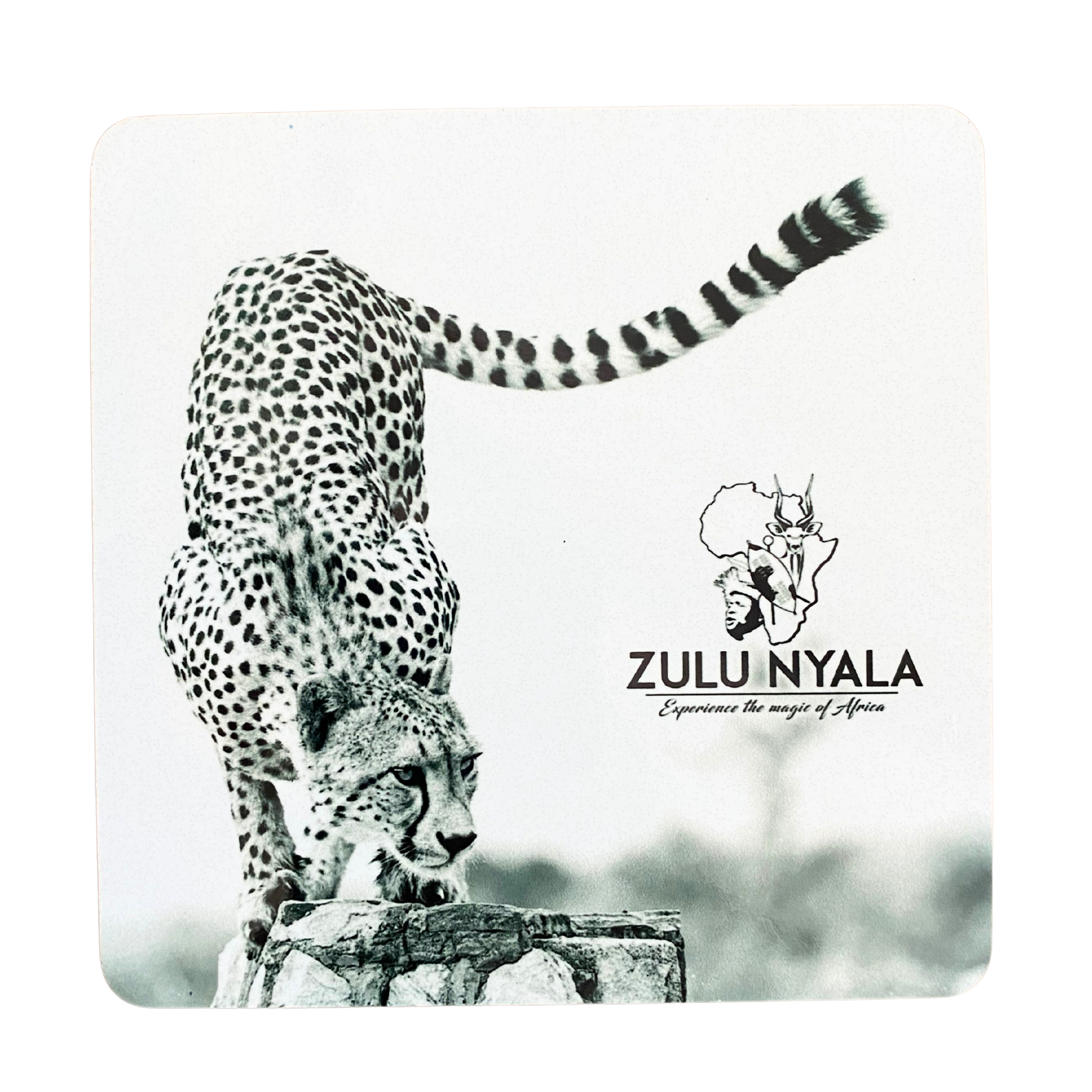 Black & White Wildlife Coasters (Zulu Nyala)