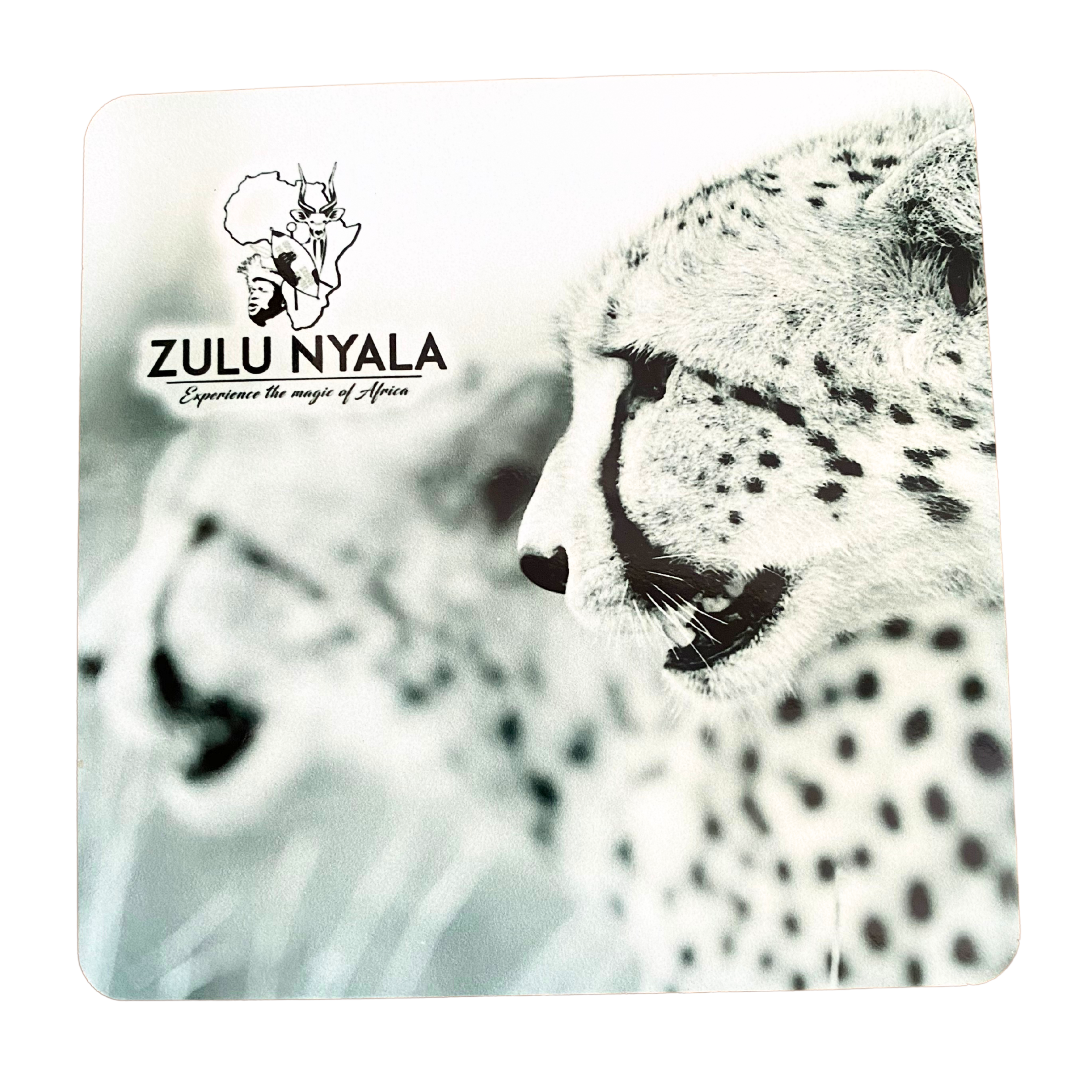 Black & White Wildlife Coasters (Zulu Nyala)