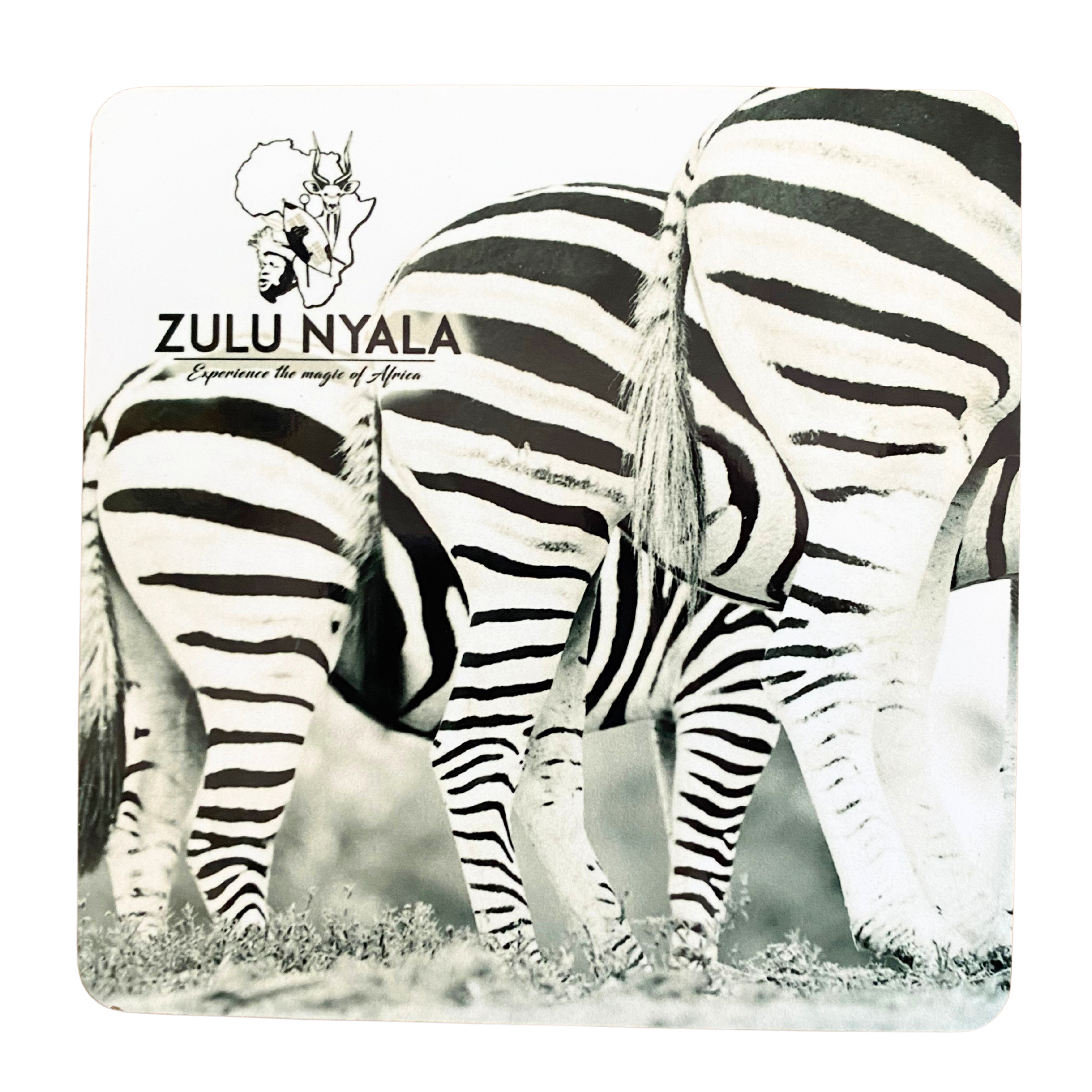 Black & White Wildlife Coasters (Zulu Nyala)