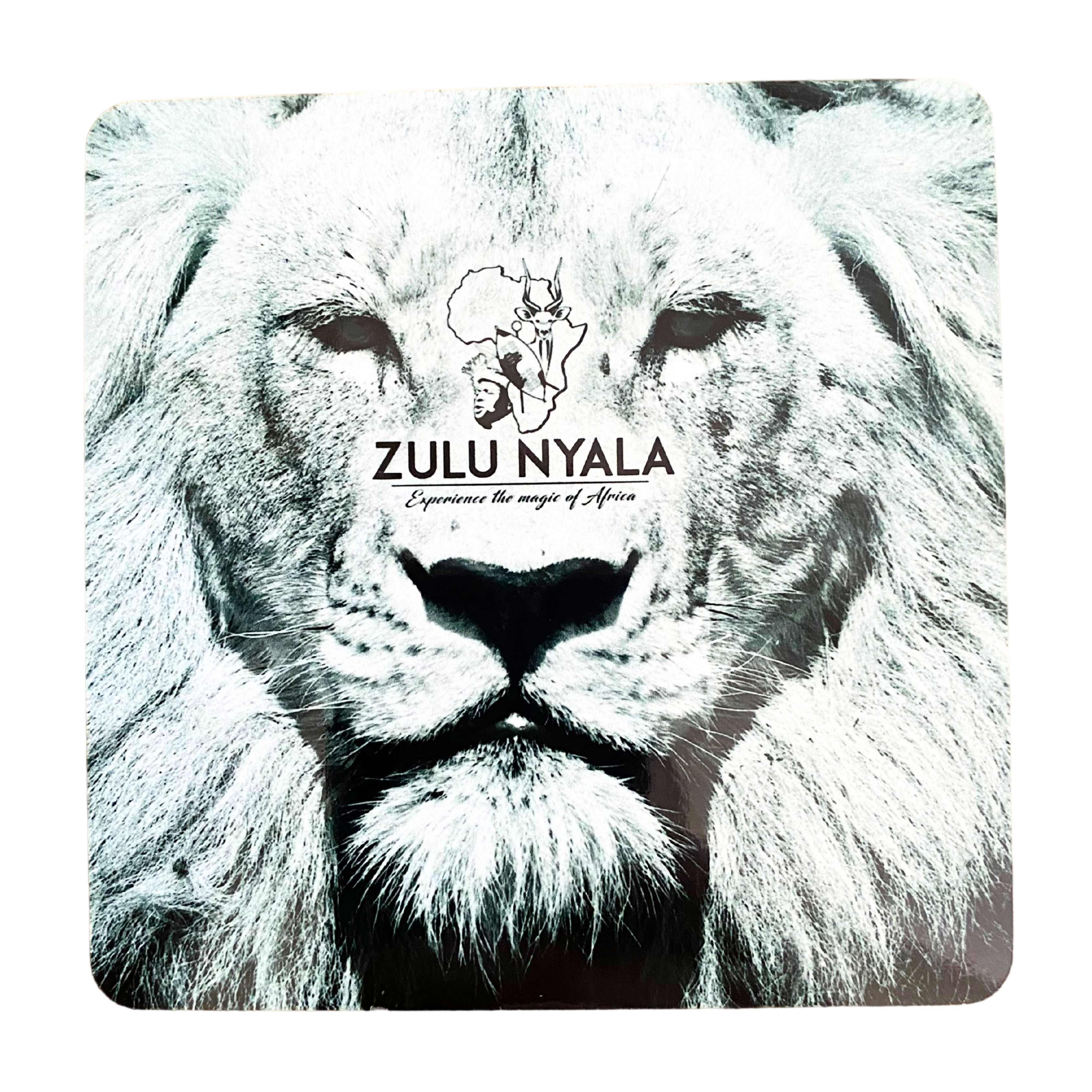 Black & White Wildlife Coasters (Zulu Nyala)