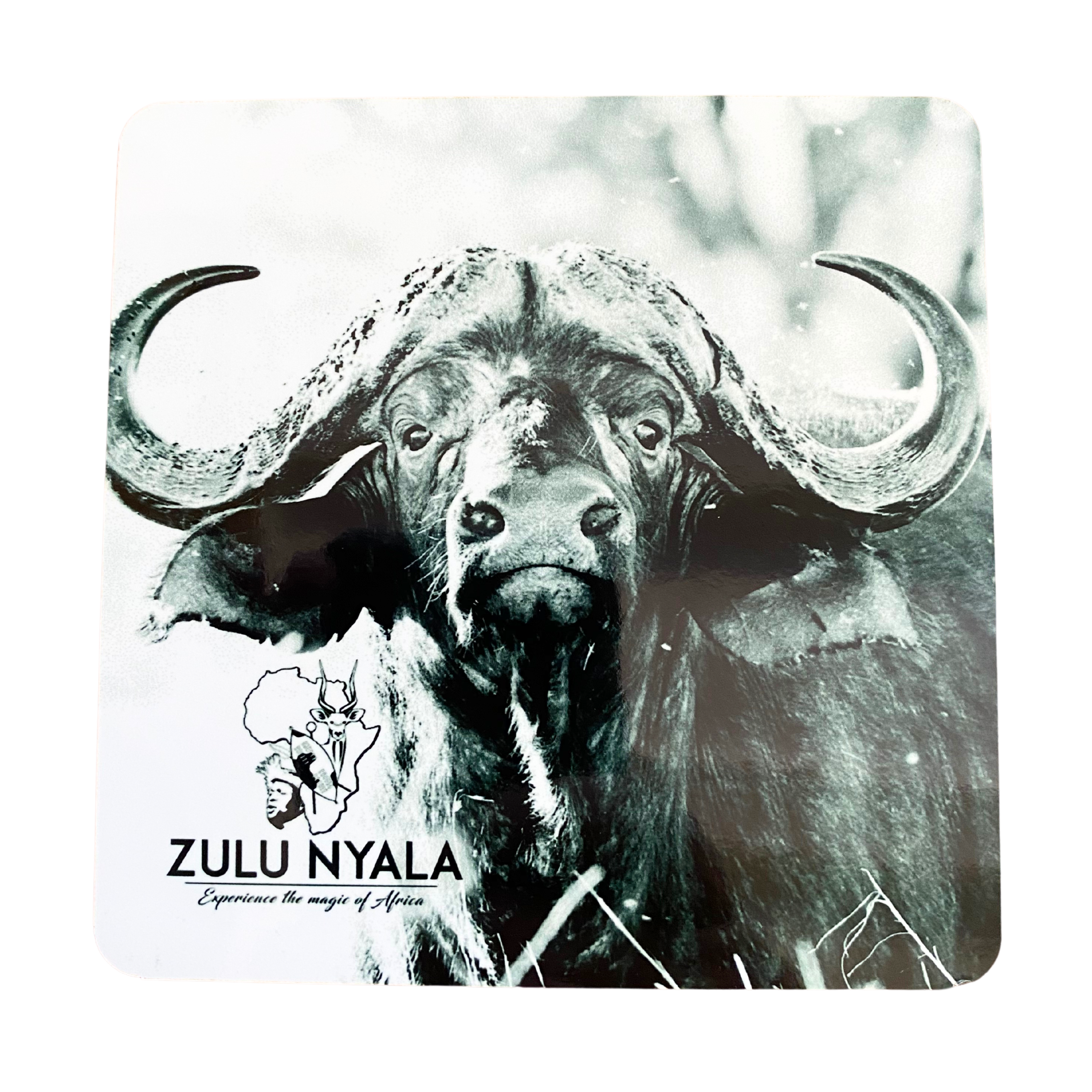 Black & White Wildlife Coasters (Zulu Nyala)