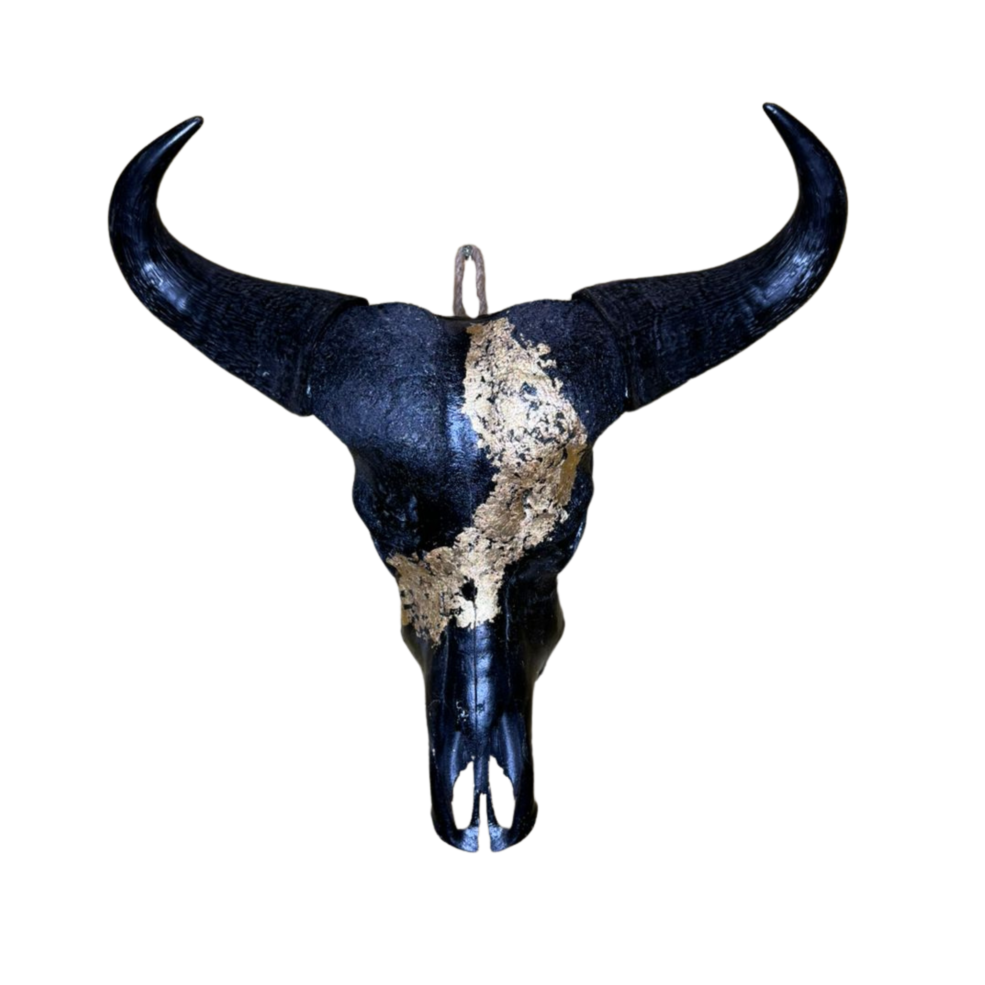 Gold Inlay Cape Buffalo Skull