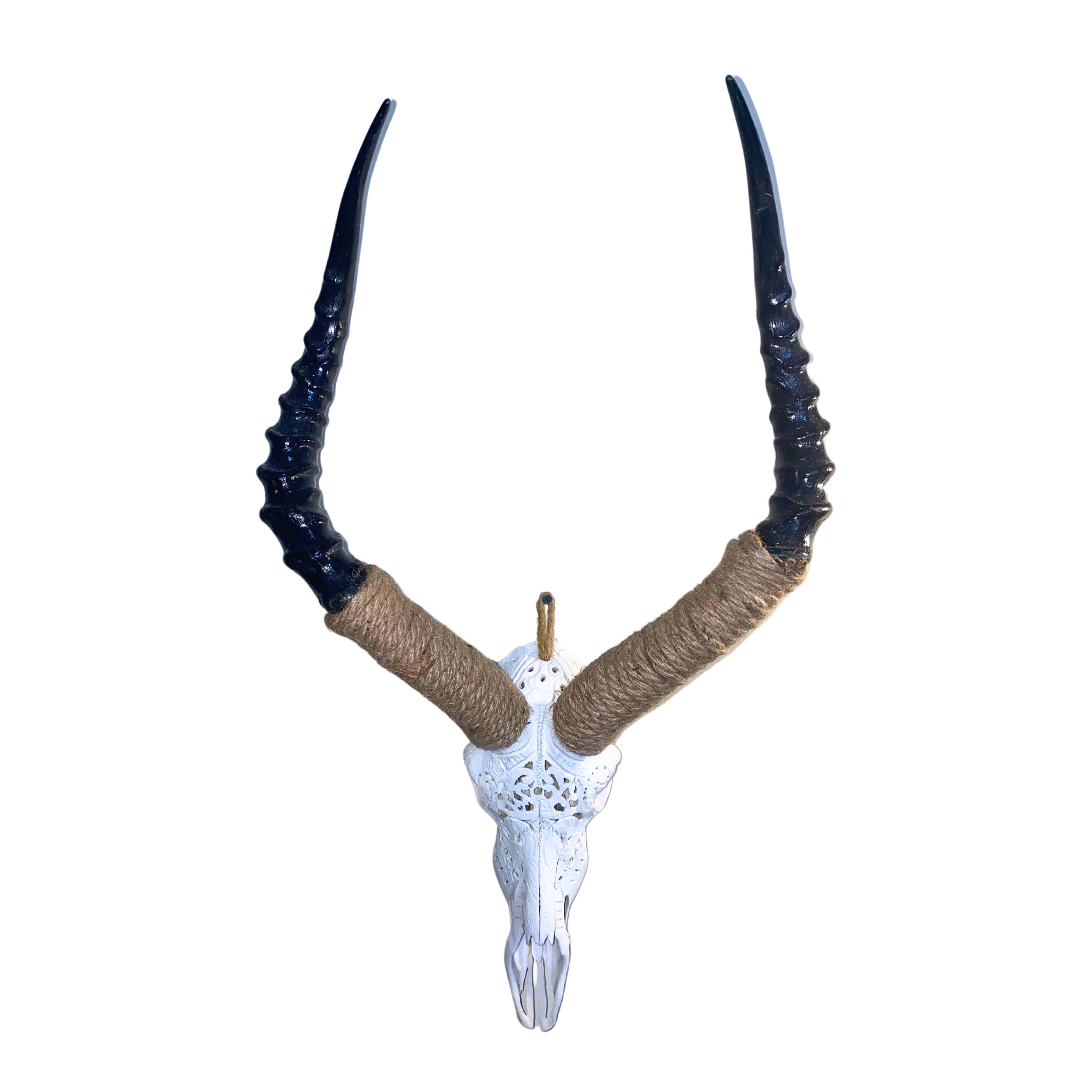 White Carved Impala Skull With Rope Horns