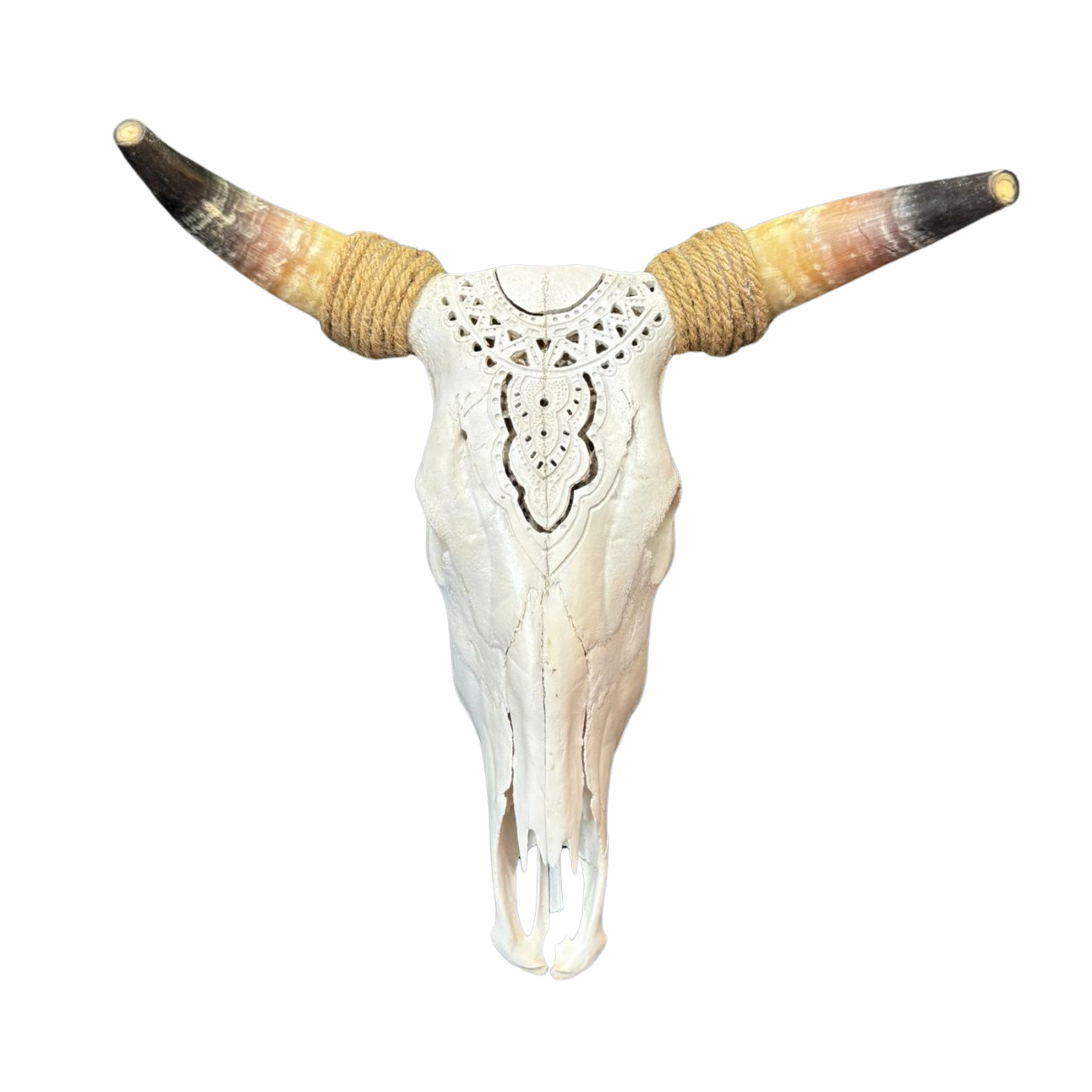 White Mandala Carved Nguni Skull With Rope Horns