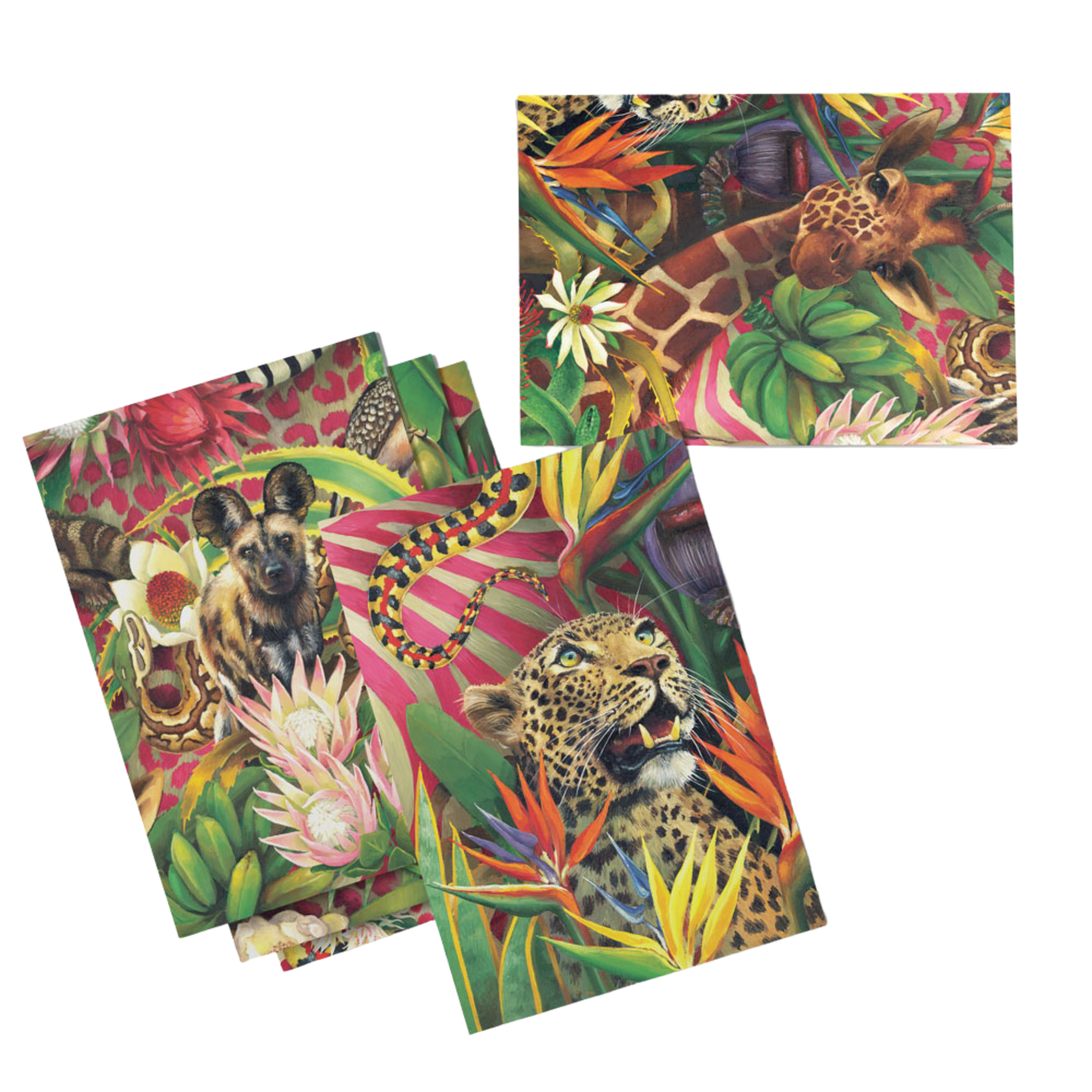 Jungle Greeting Card Pack