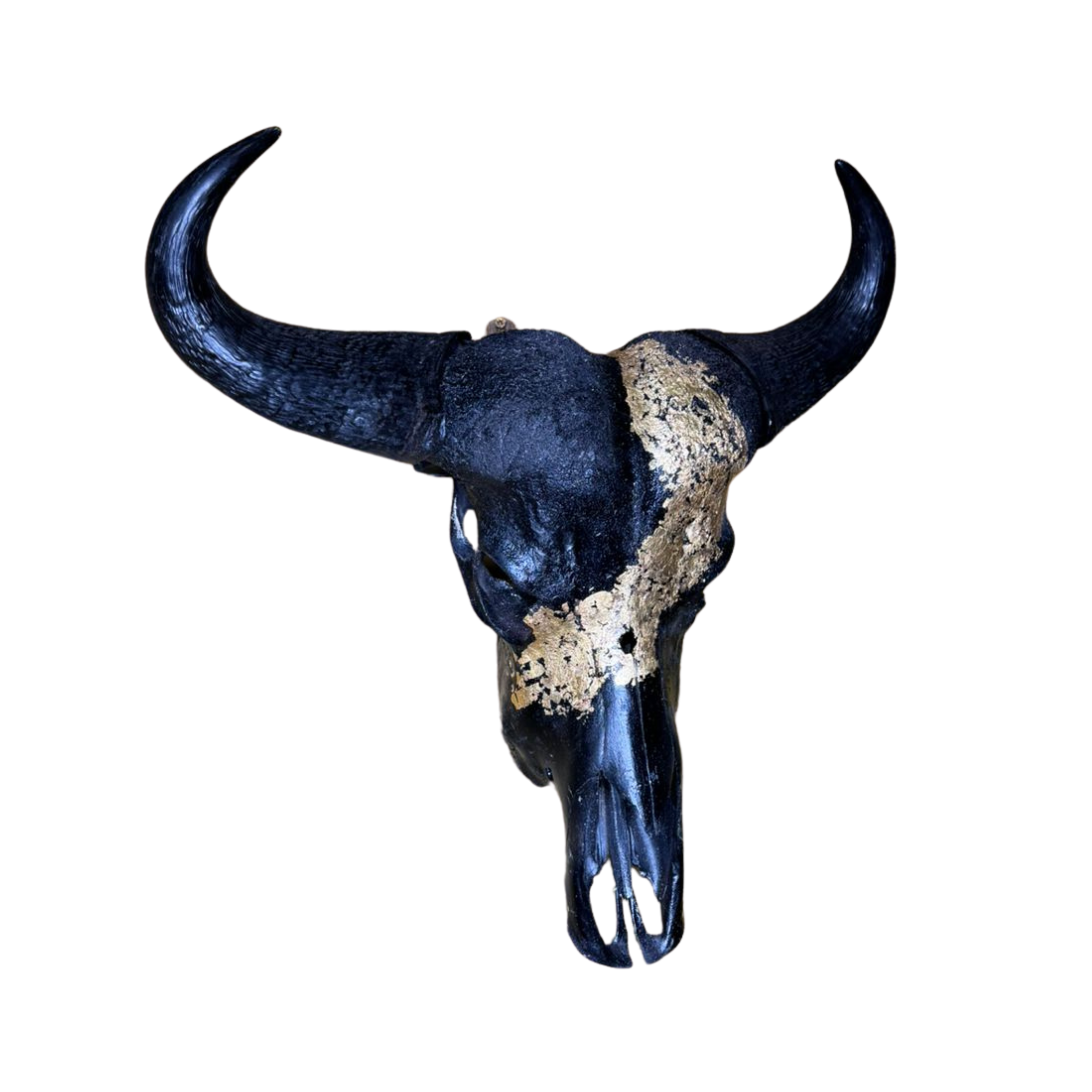 Gold Inlay Cape Buffalo Skull