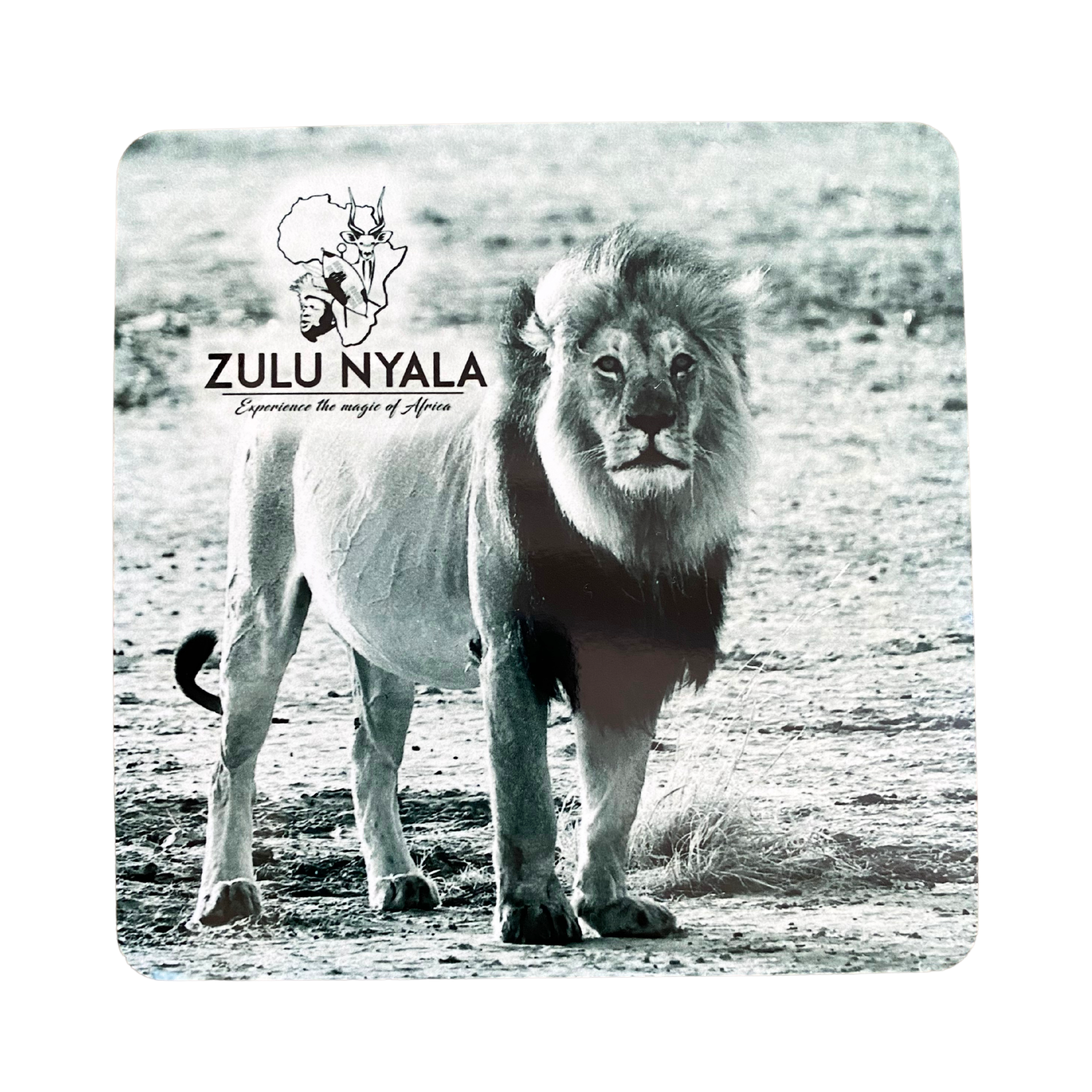 Black & White Wildlife Coasters (Zulu Nyala)