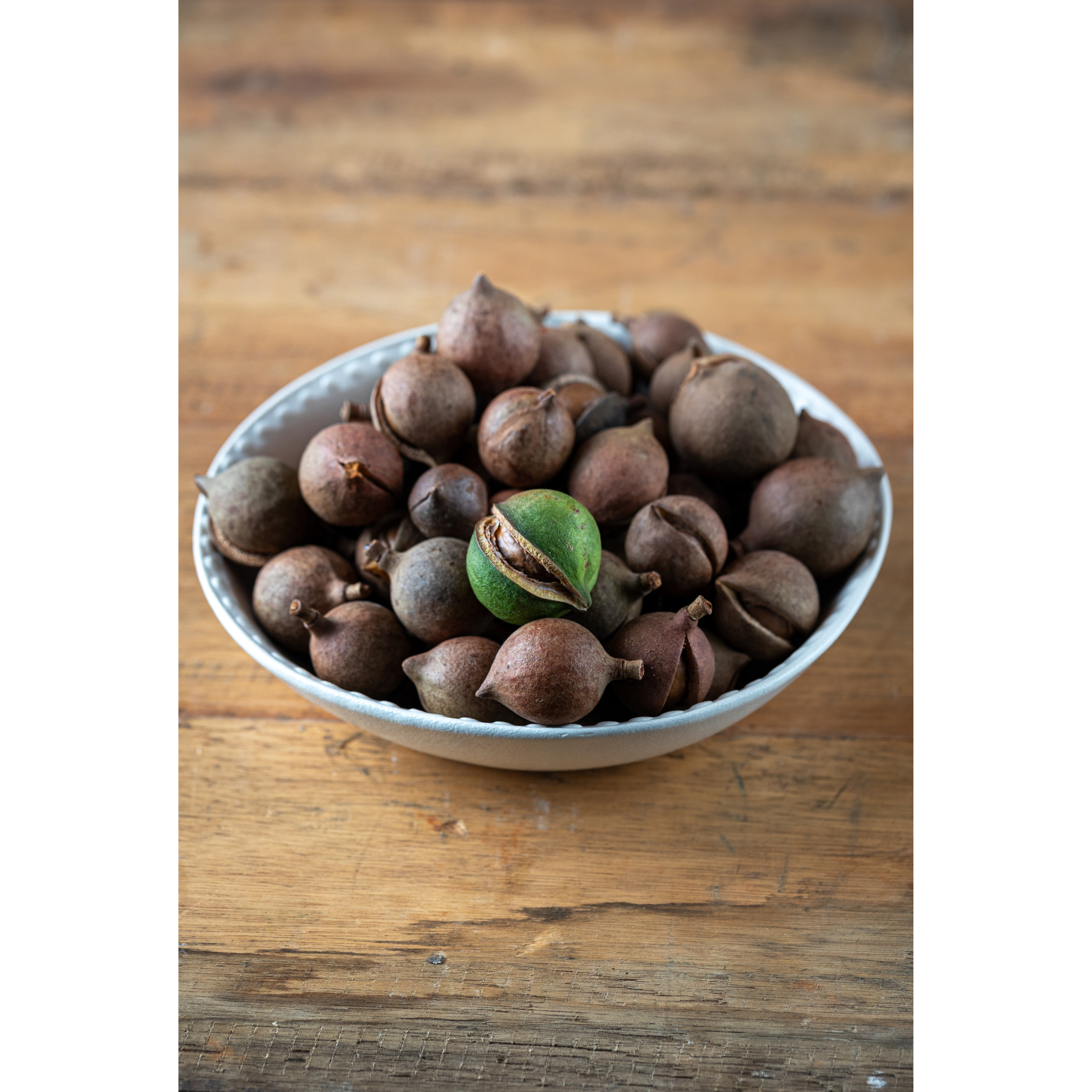 Homegrown Roasted and Salted Macadamia Nuts (350g)