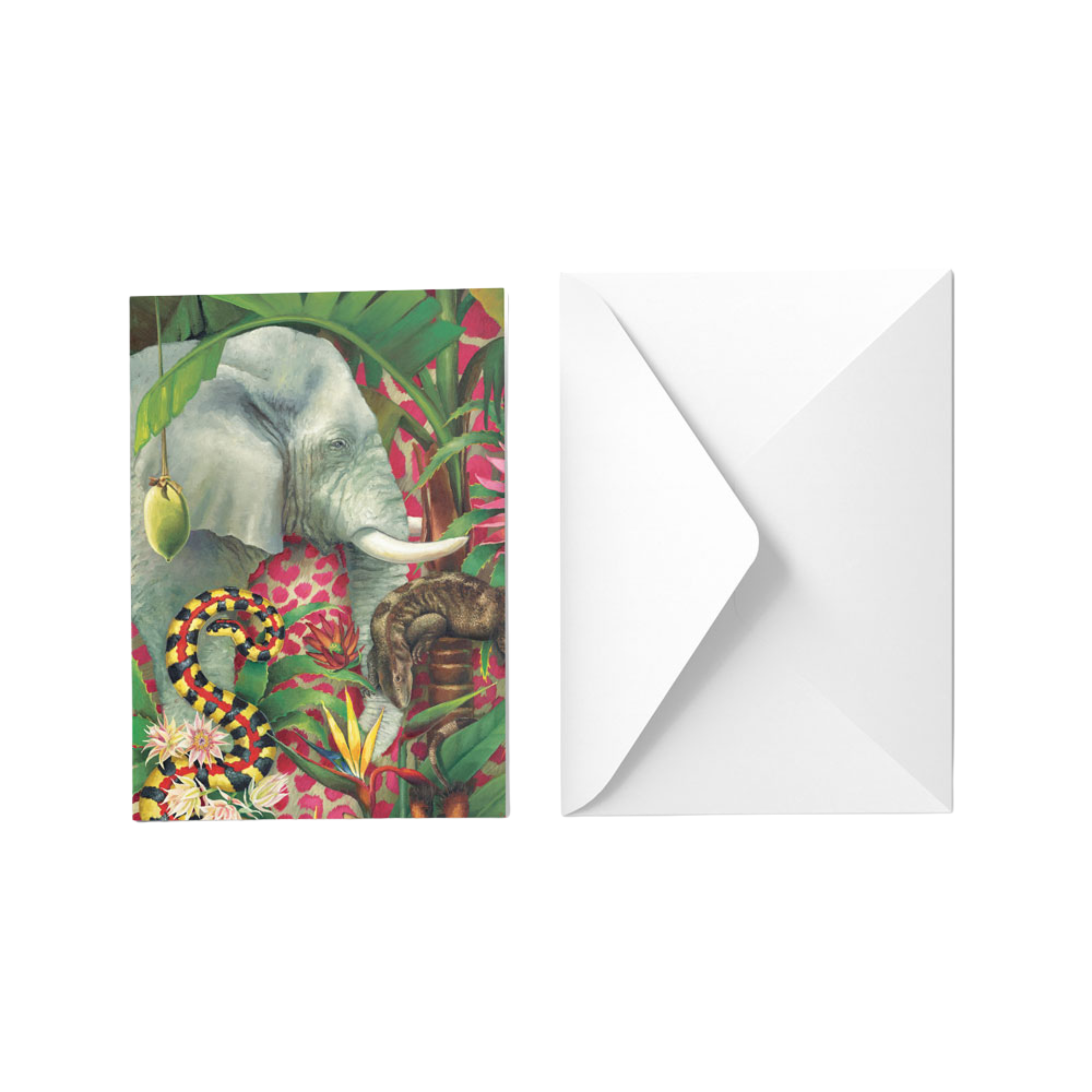 Jungle Greeting Card Pack