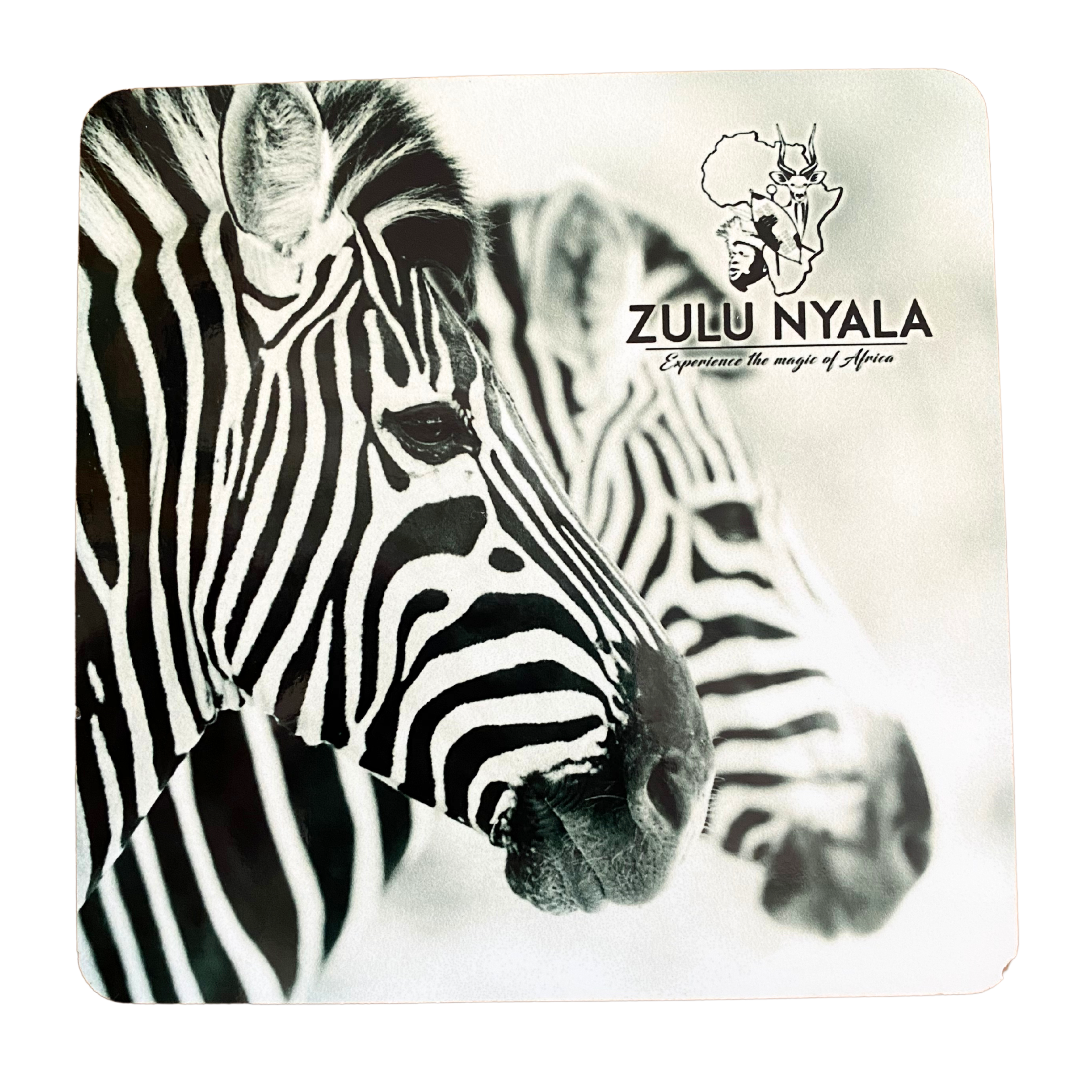 Black & White Wildlife Coasters (Zulu Nyala)