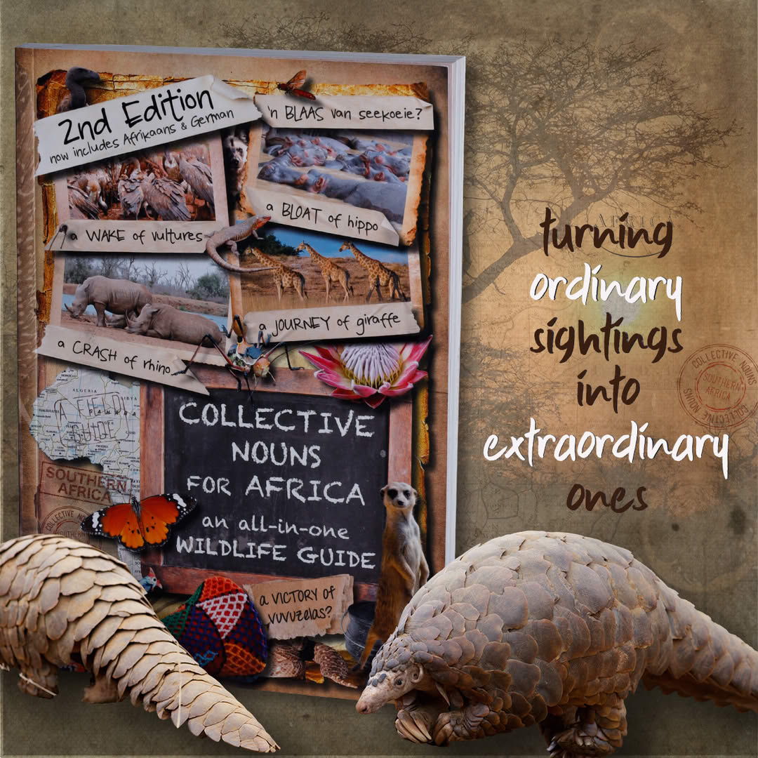 Collective Nouns For Africa Book