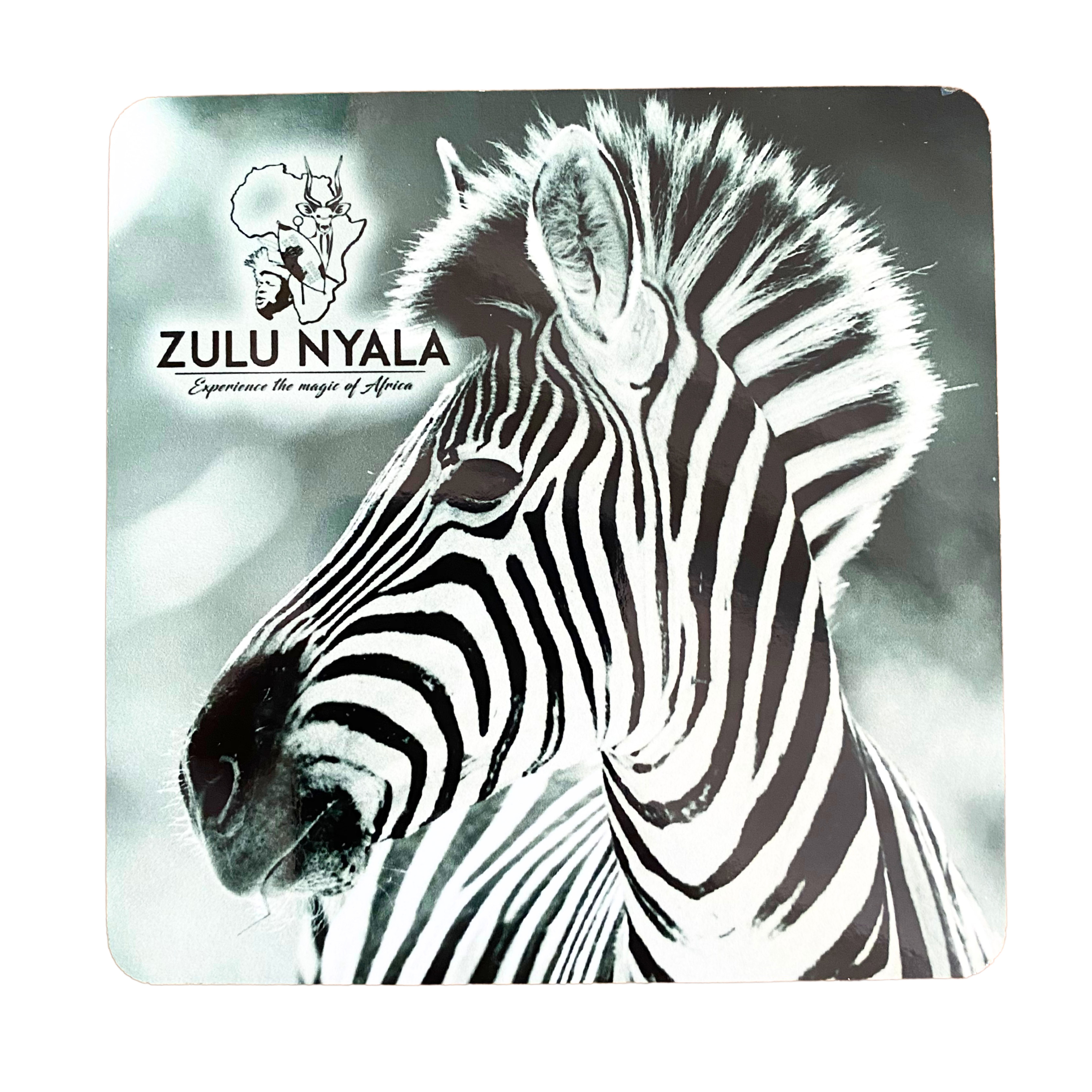 Black & White Wildlife Coasters (Zulu Nyala)