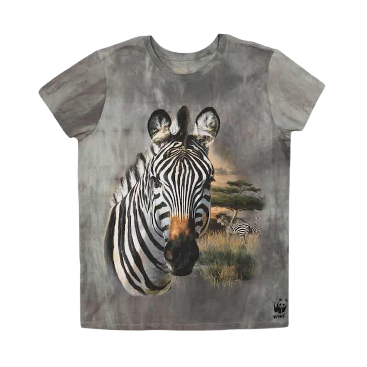 Zebra Kids Dyed T-Shirt - Grey